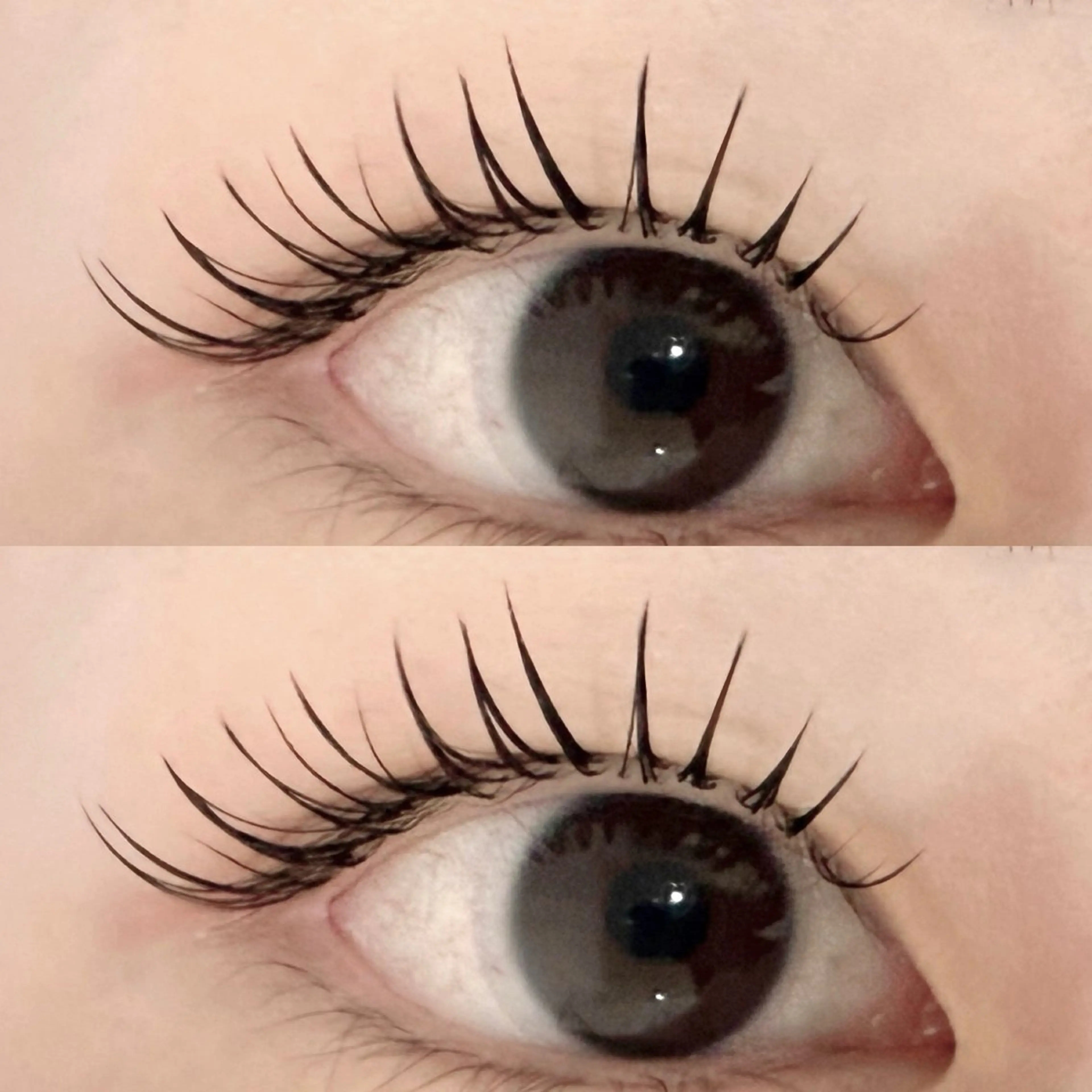 マツエク・マツパ M🐰 上本町/谷九のマツエク・マツパデザイン