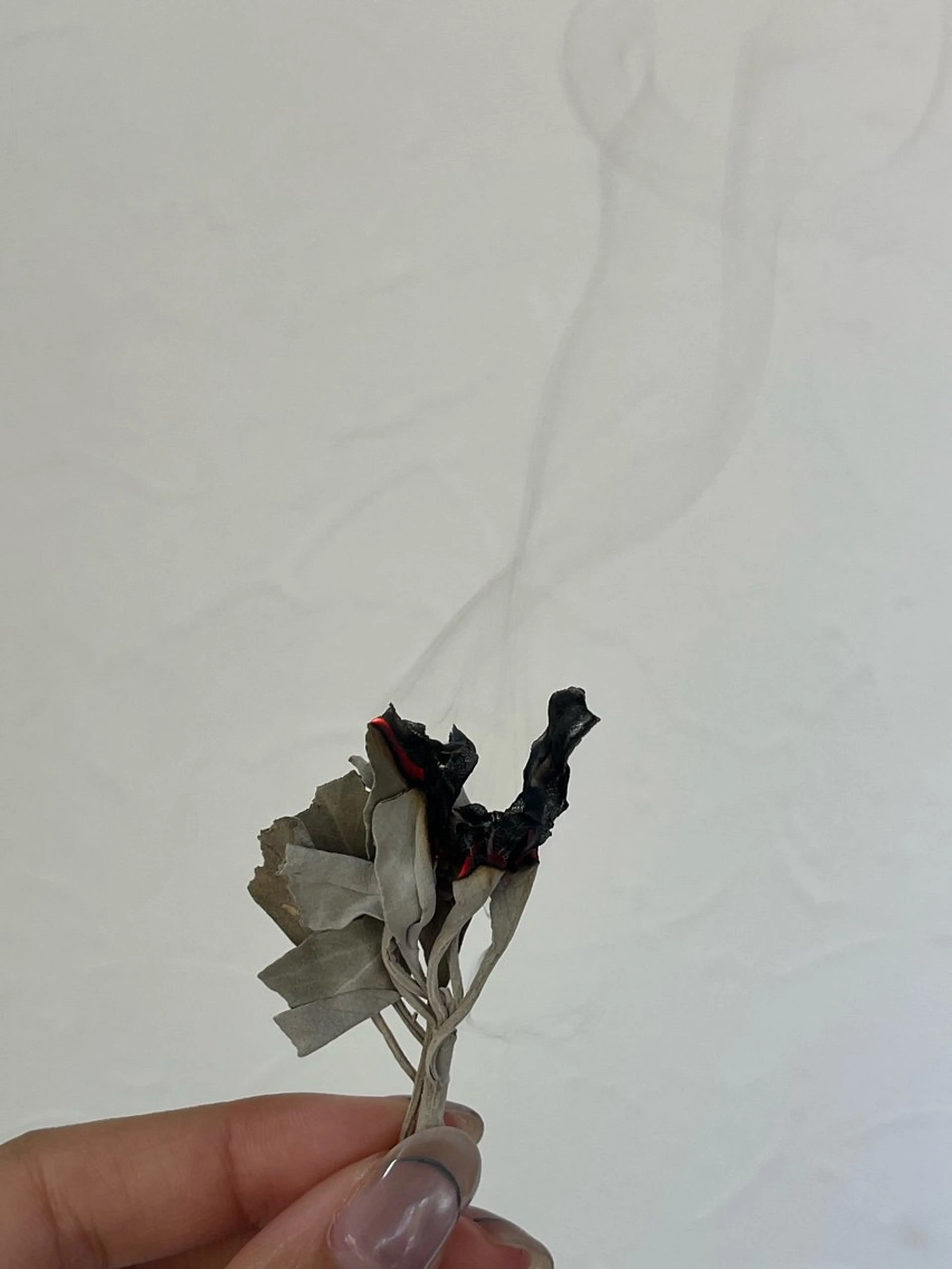 マツエク・マツパ マツパ ナチュラル眉サロン 🌿lojiロジの眉毛・アイブロウイメージ