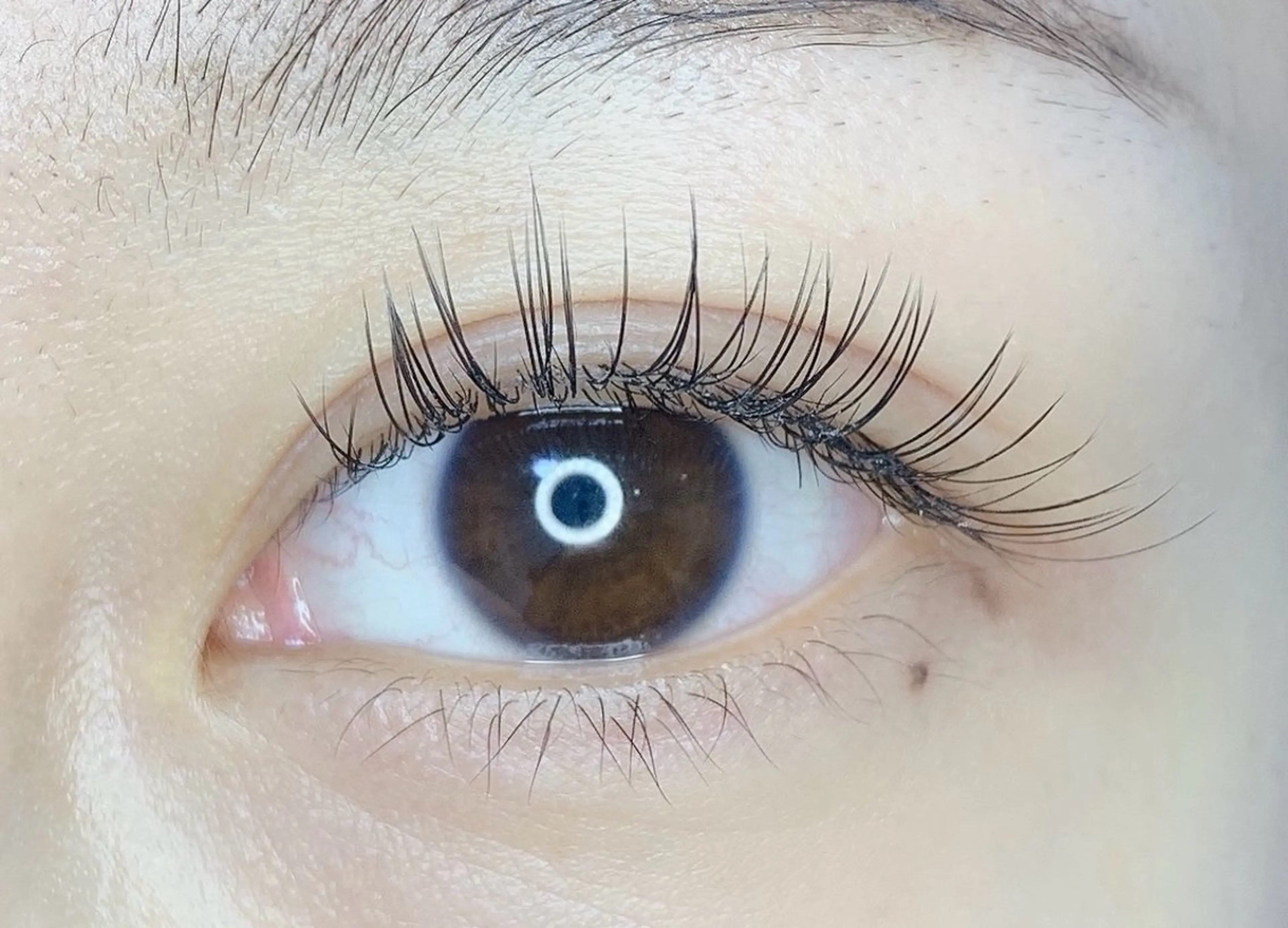 まつげエクステ140本（フラットラッシュ）の写真