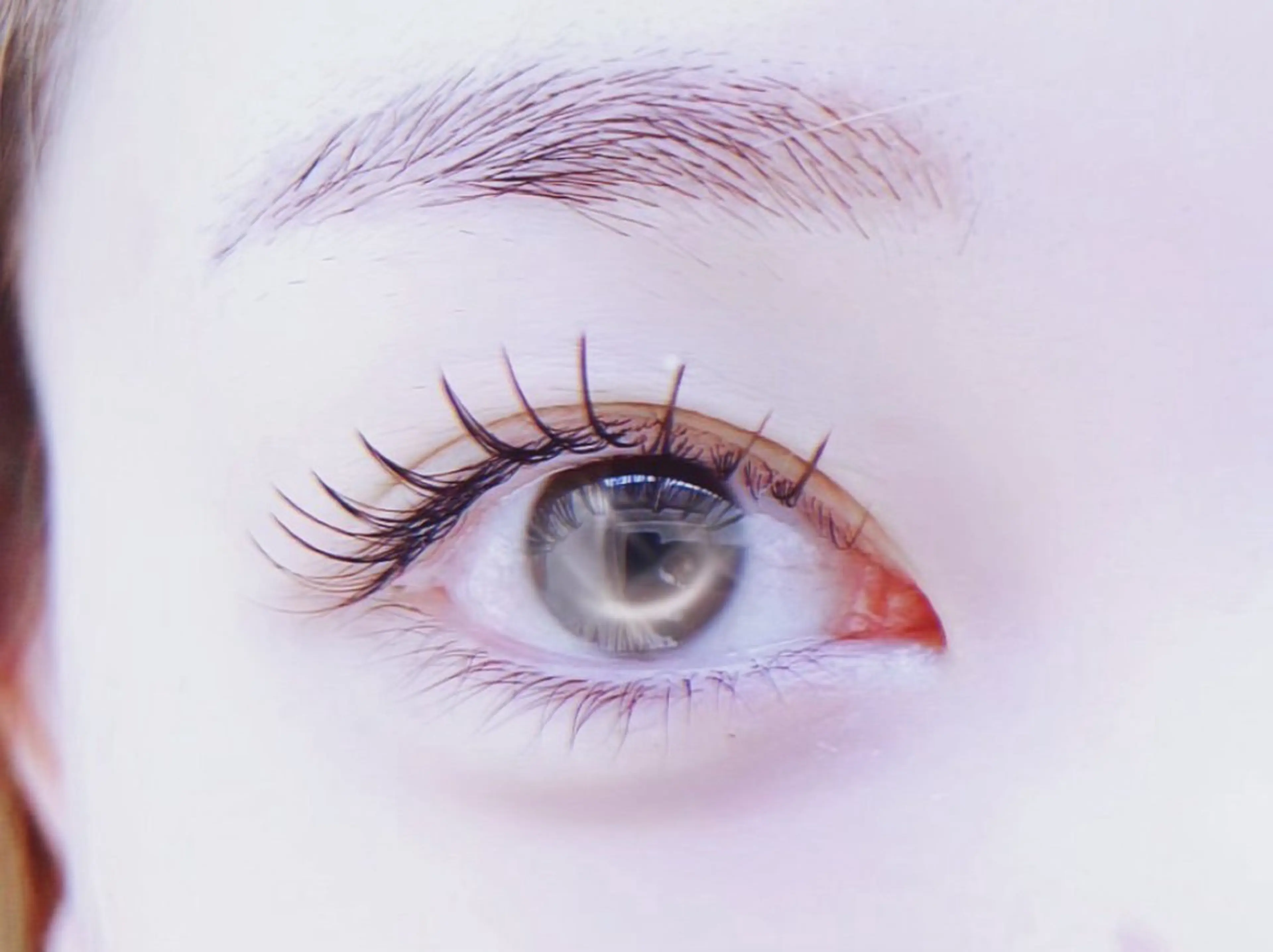 4月限定！！【初回】フラットラッシュ🌺オフ込み🌺90分つけ放題🌺の写真