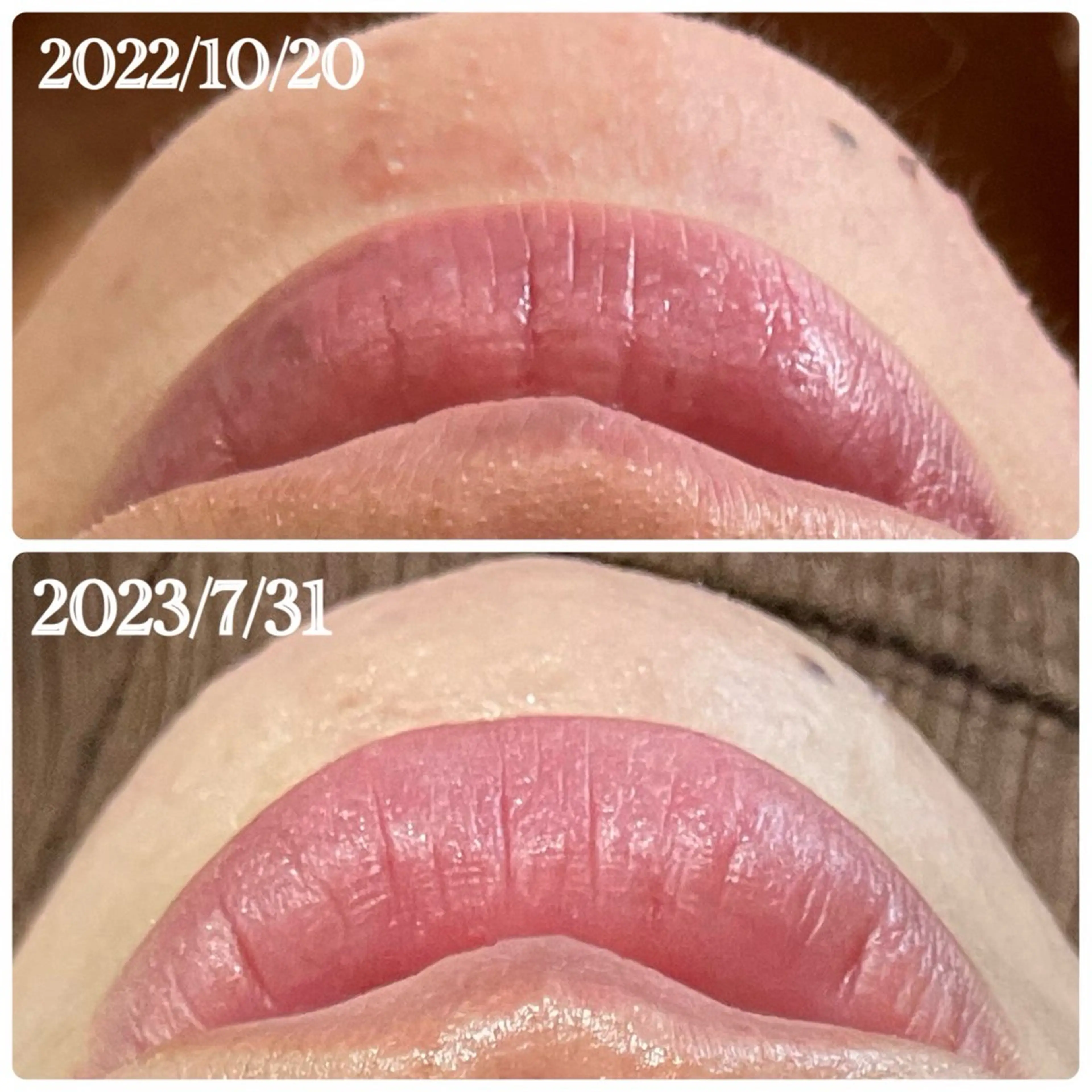 ヌーベル プリュムのその他イメージ