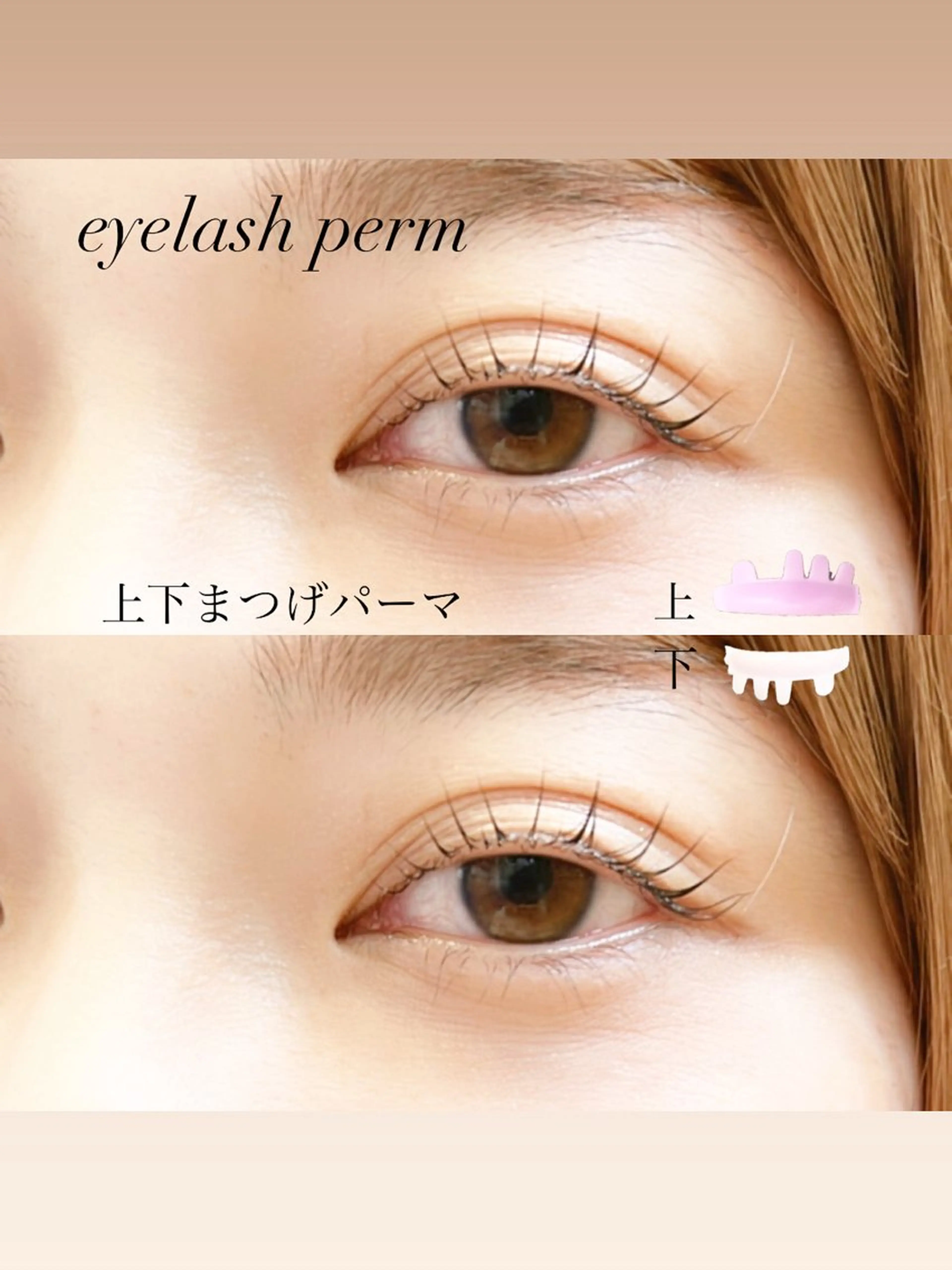 マツエク・マツパ まつげパーマ 下まつげエクステ マツパ GranCieux 水戸/まつパ🧡黒柳の眉毛・アイブロウイメージ