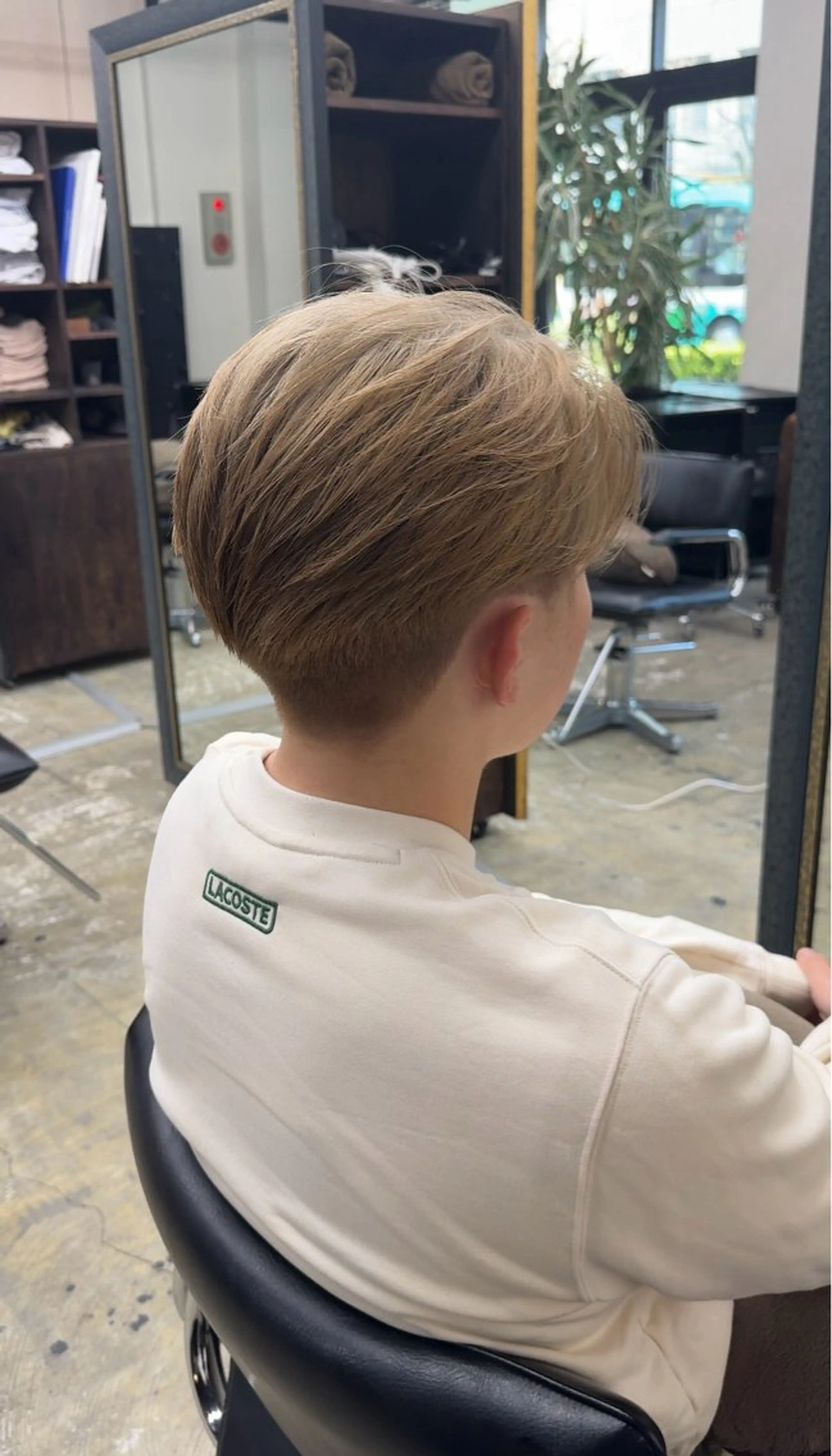 ショート カット ヘアカラー 影山 蒼太のヘアスタイル