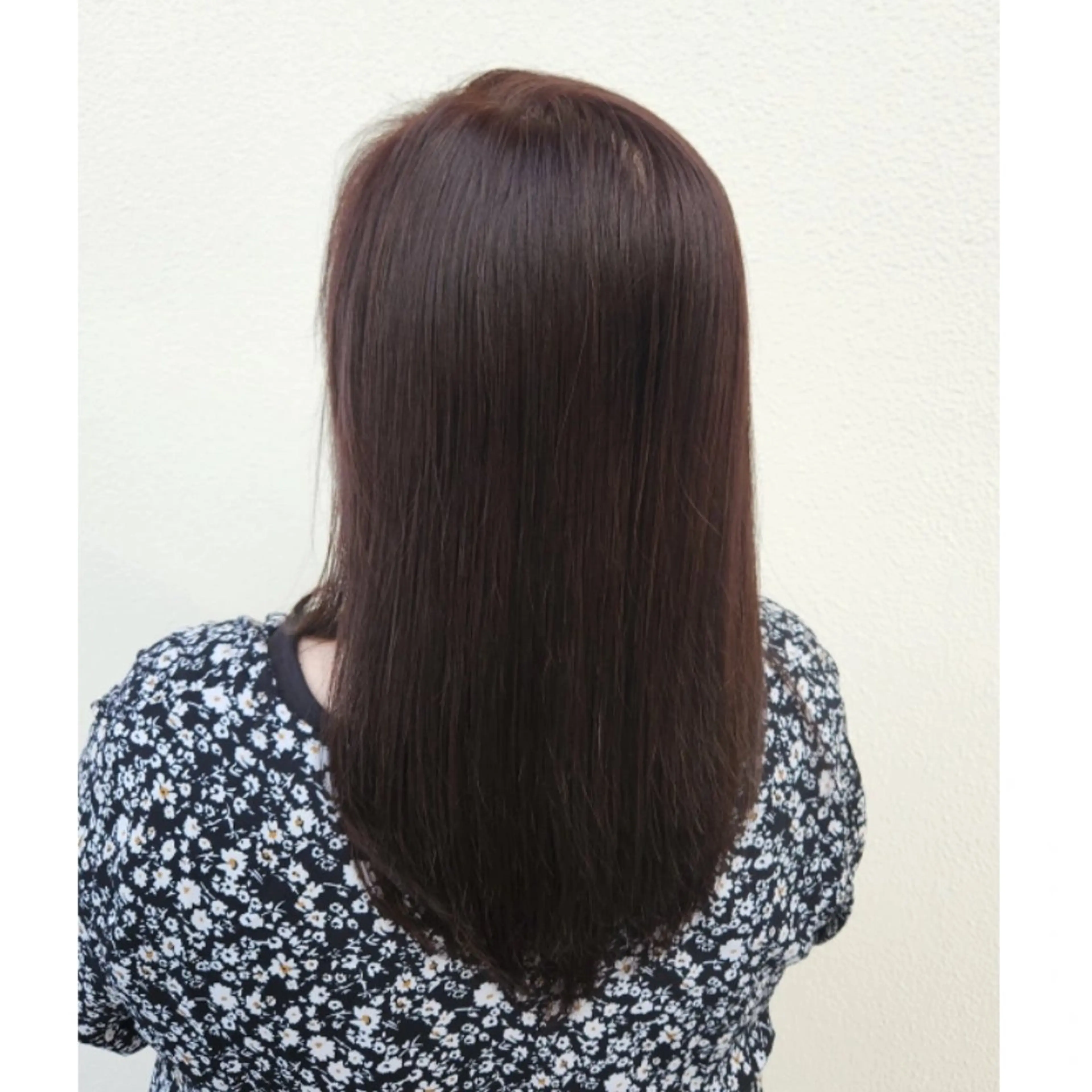 カラー くまだ あかねฅ🐶🐾のヘアスタイル