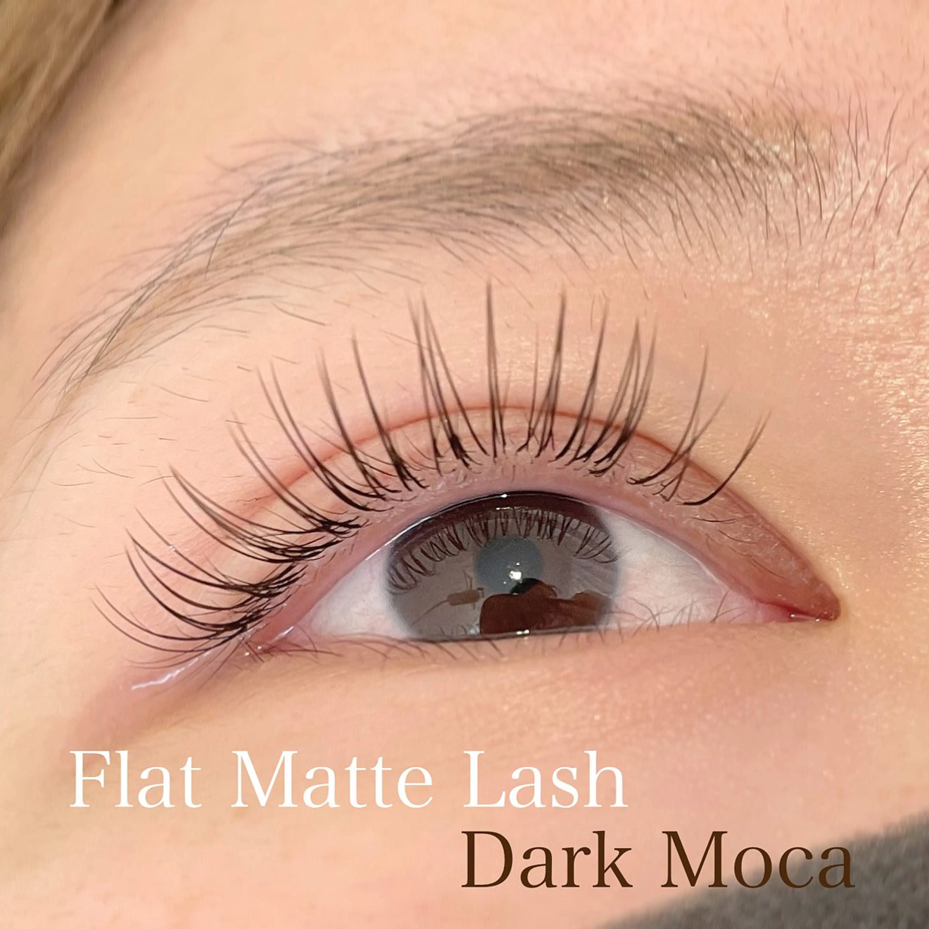 🫧‪オードリーフラットラッシュ100本の写真