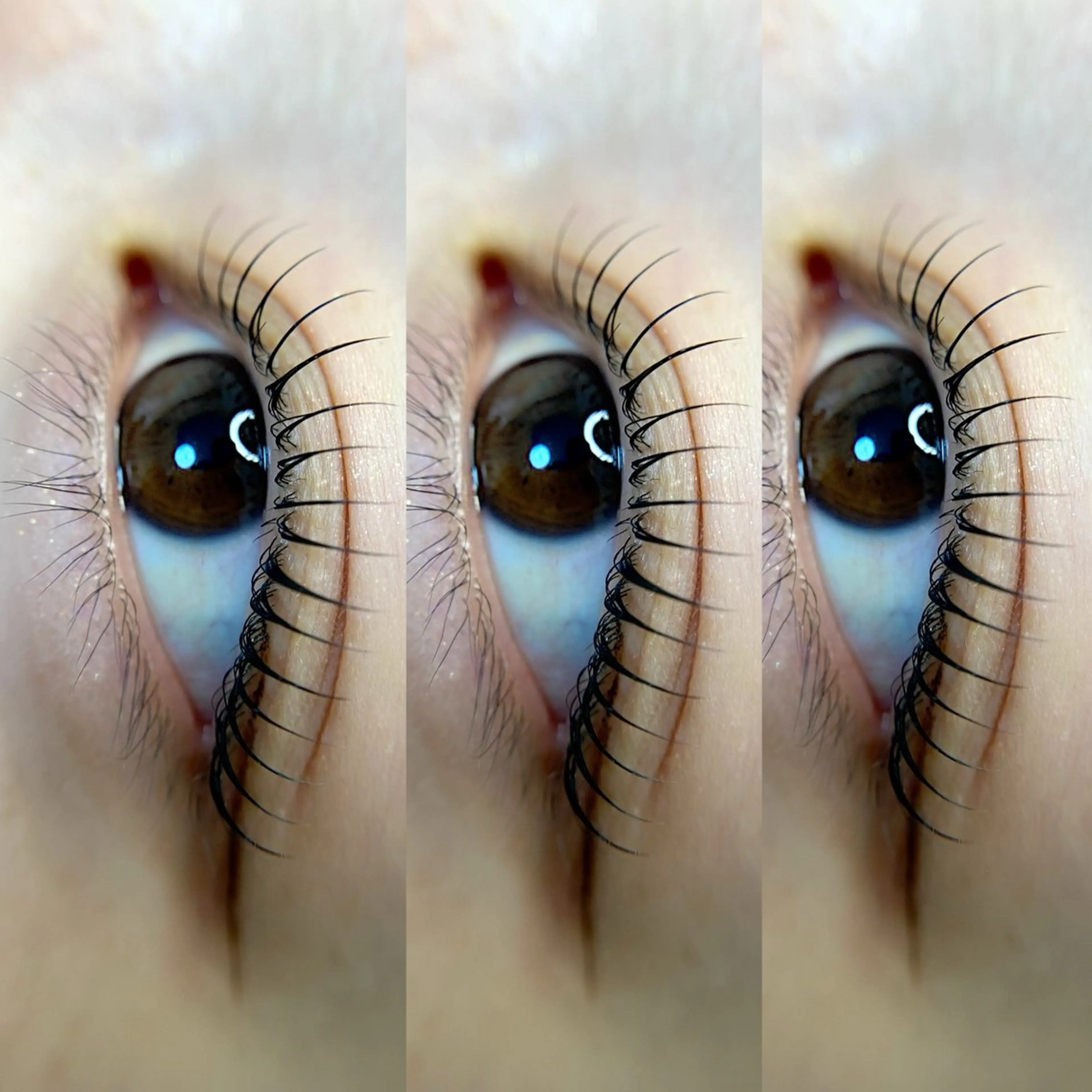 マツエク・マツパ Lash one 大宮東口店のマツエク・マツパデザイン