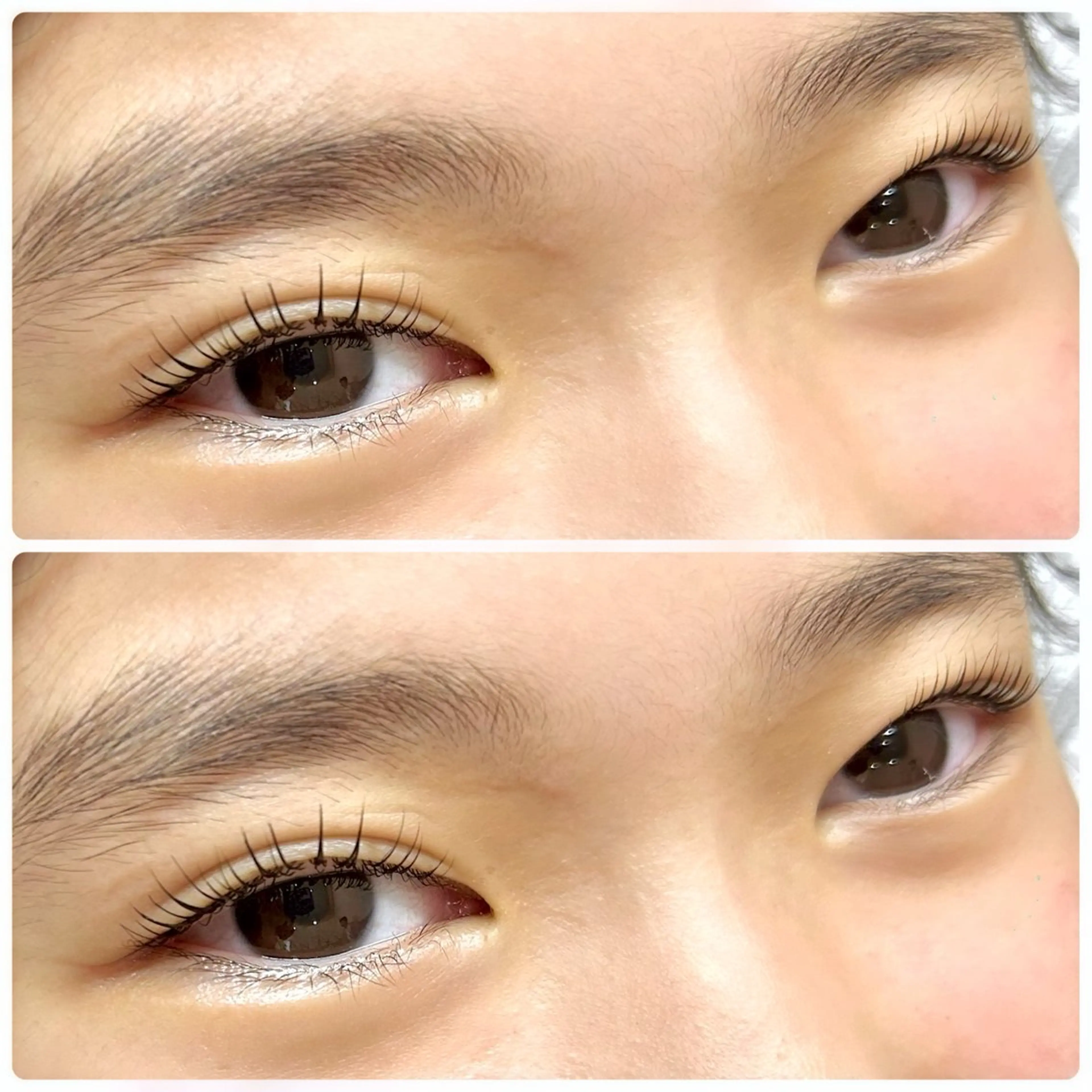 マツエク・マツパ アイブロウ/HBL 🦄MEMEの眉毛・アイブロウイメージ