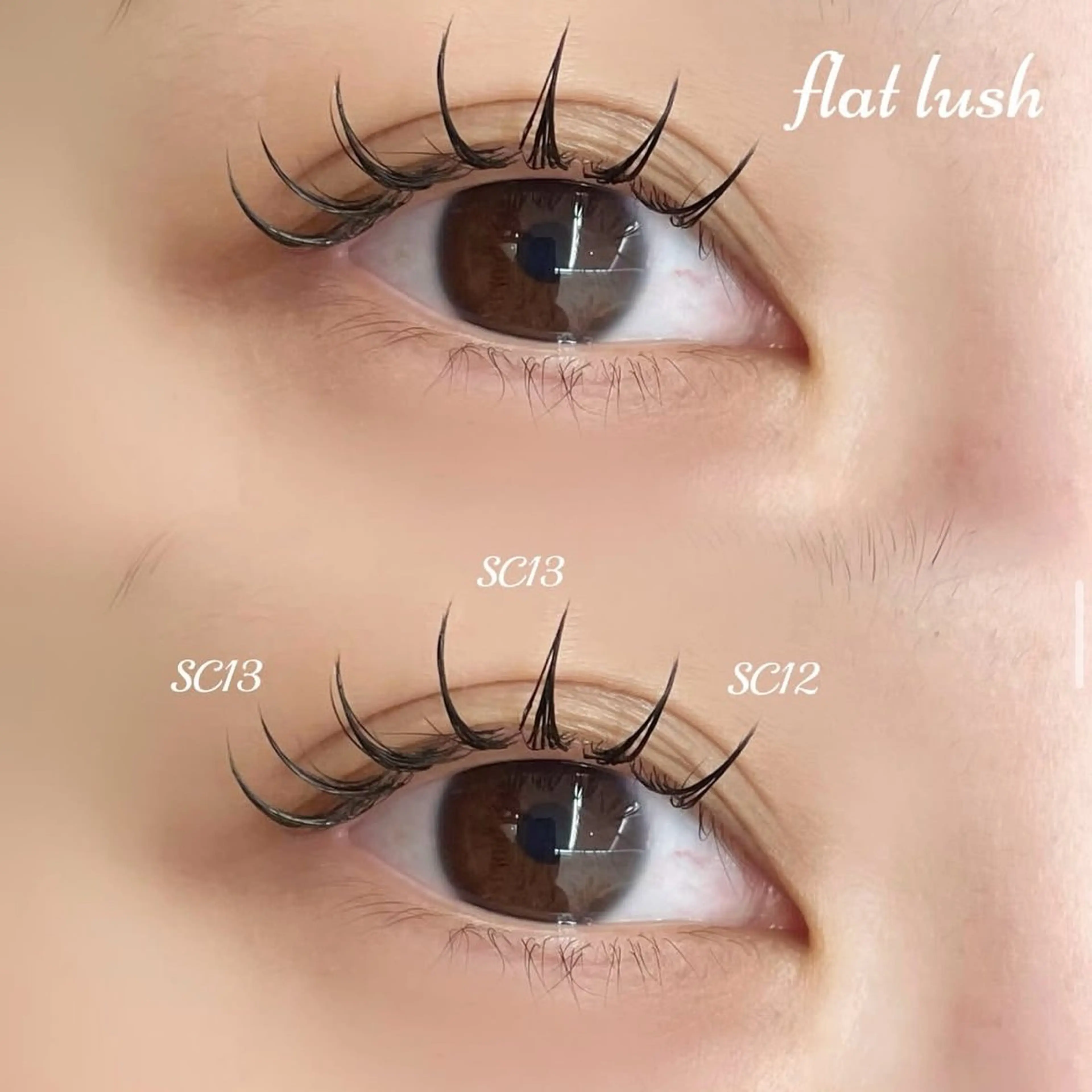 マツエク・マツパ 無料🪹 マツエクモデル募集中のマツエク・マツパデザイン