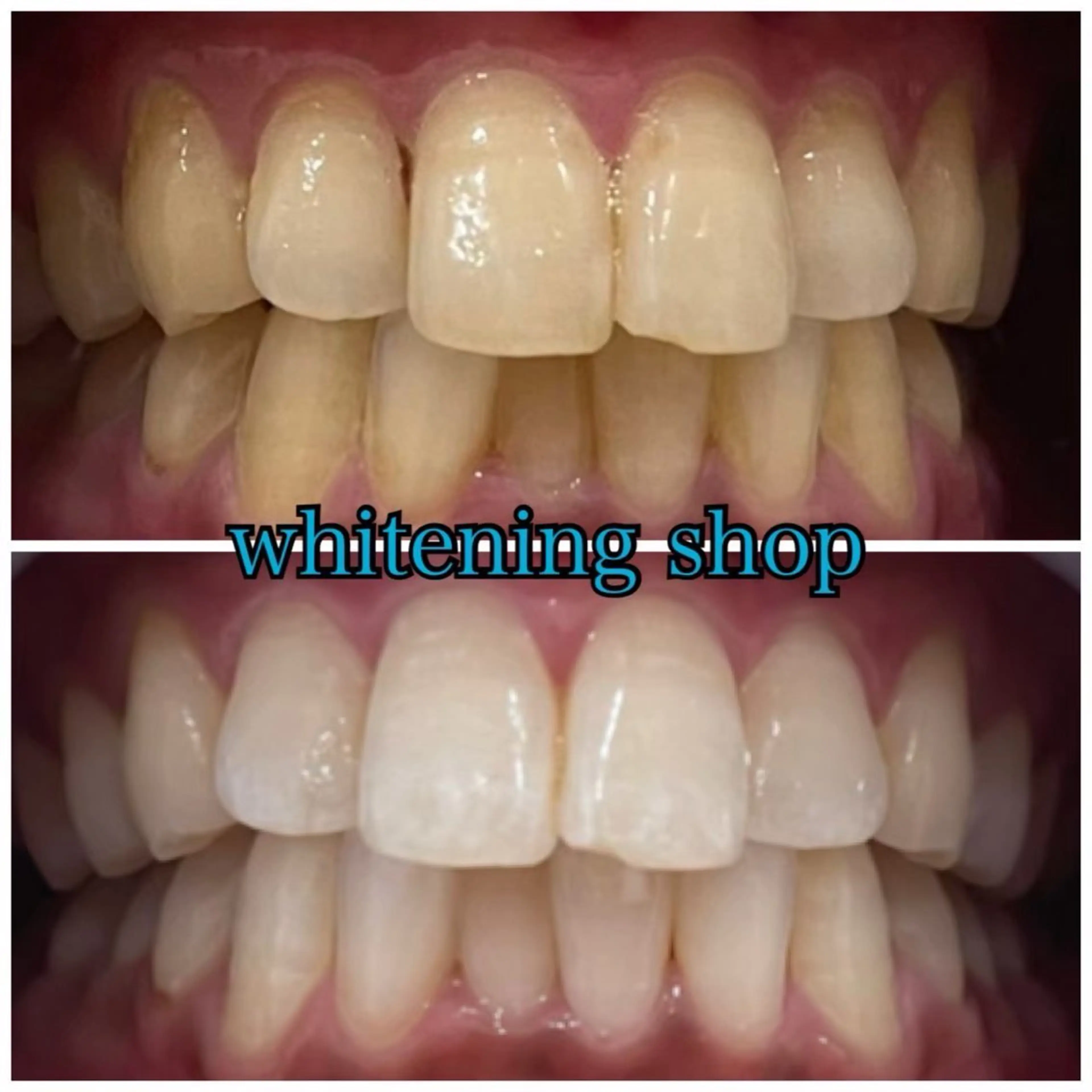 その他 スタッフ 兎洞のその他イメージ