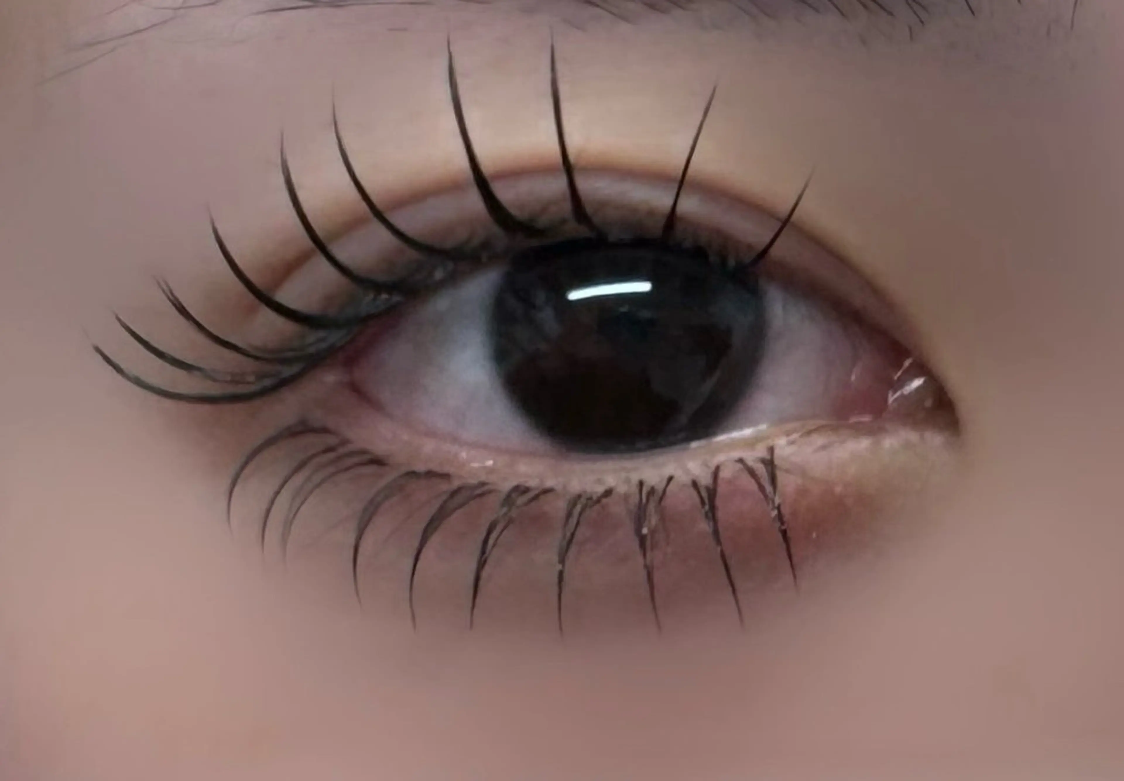 【Ruka限定】🎀中顔面短縮✨盛れる下マツエクつけ放題💗⚠︎本数指定不可（30本保証）の写真