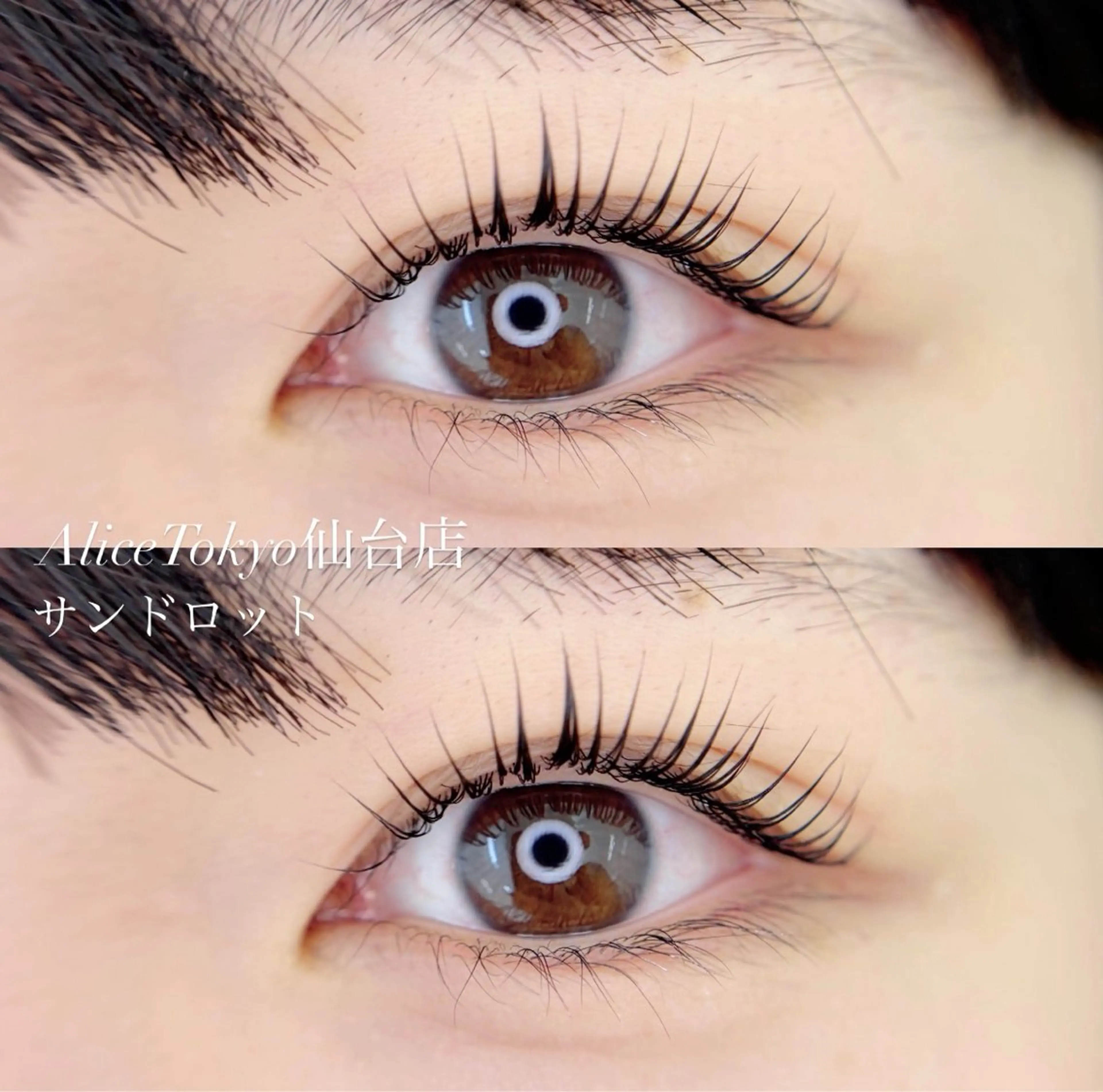 マツエク・マツパ 韓国風マツエク 一重×まつ毛パーマ Minako Shibataのマツエク・マツパデザイン