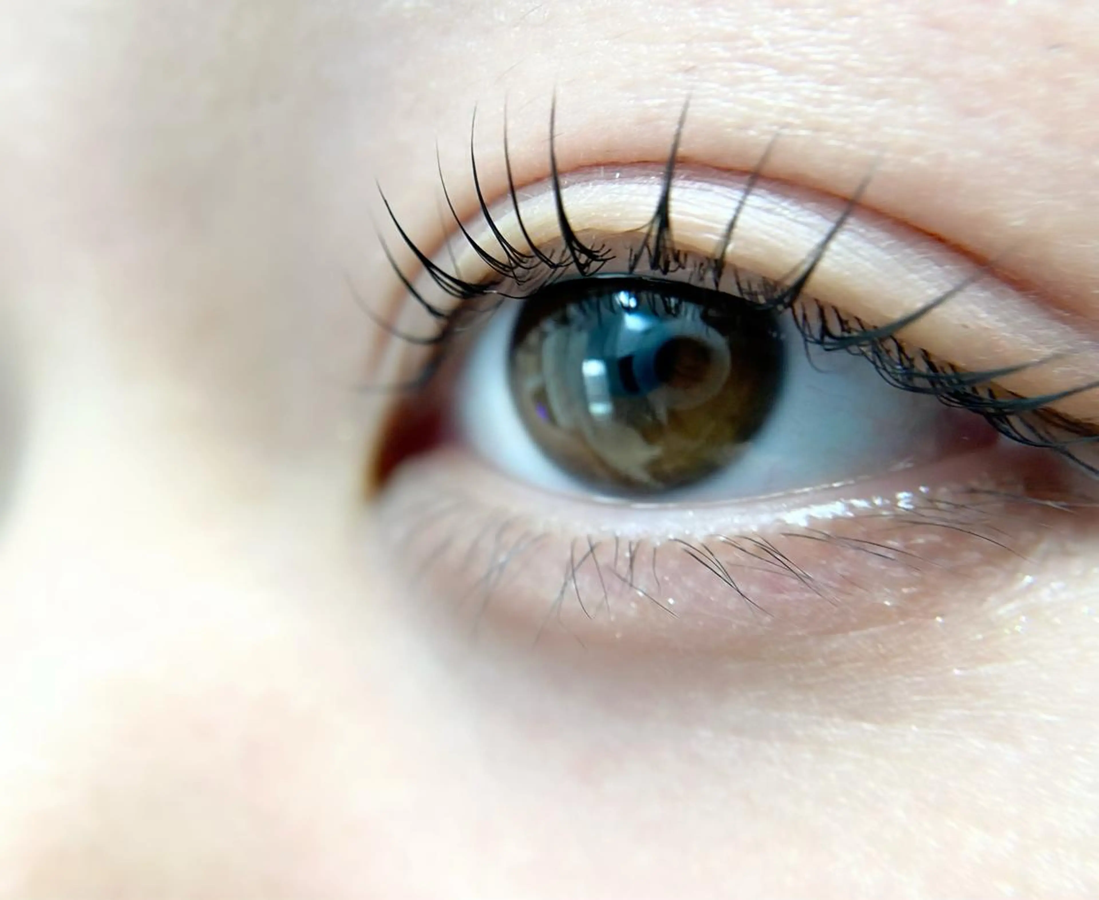 根元から立ち上がる【次世代ラッシュリフト】✨高濃度トリートメント付の写真