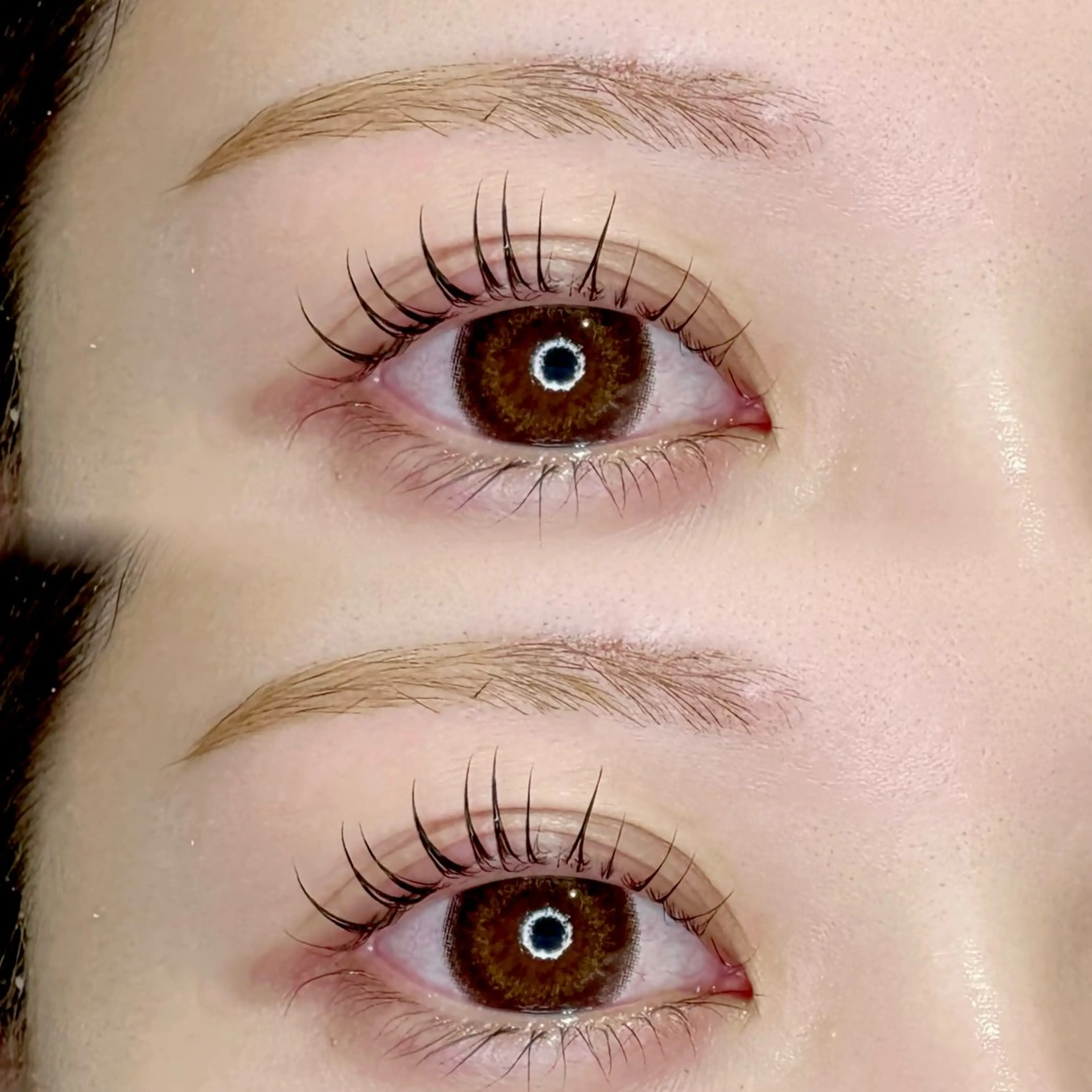 【4/14限定】🍭まつ毛パーマorパリジェンヌ➕アイブロワックスの写真