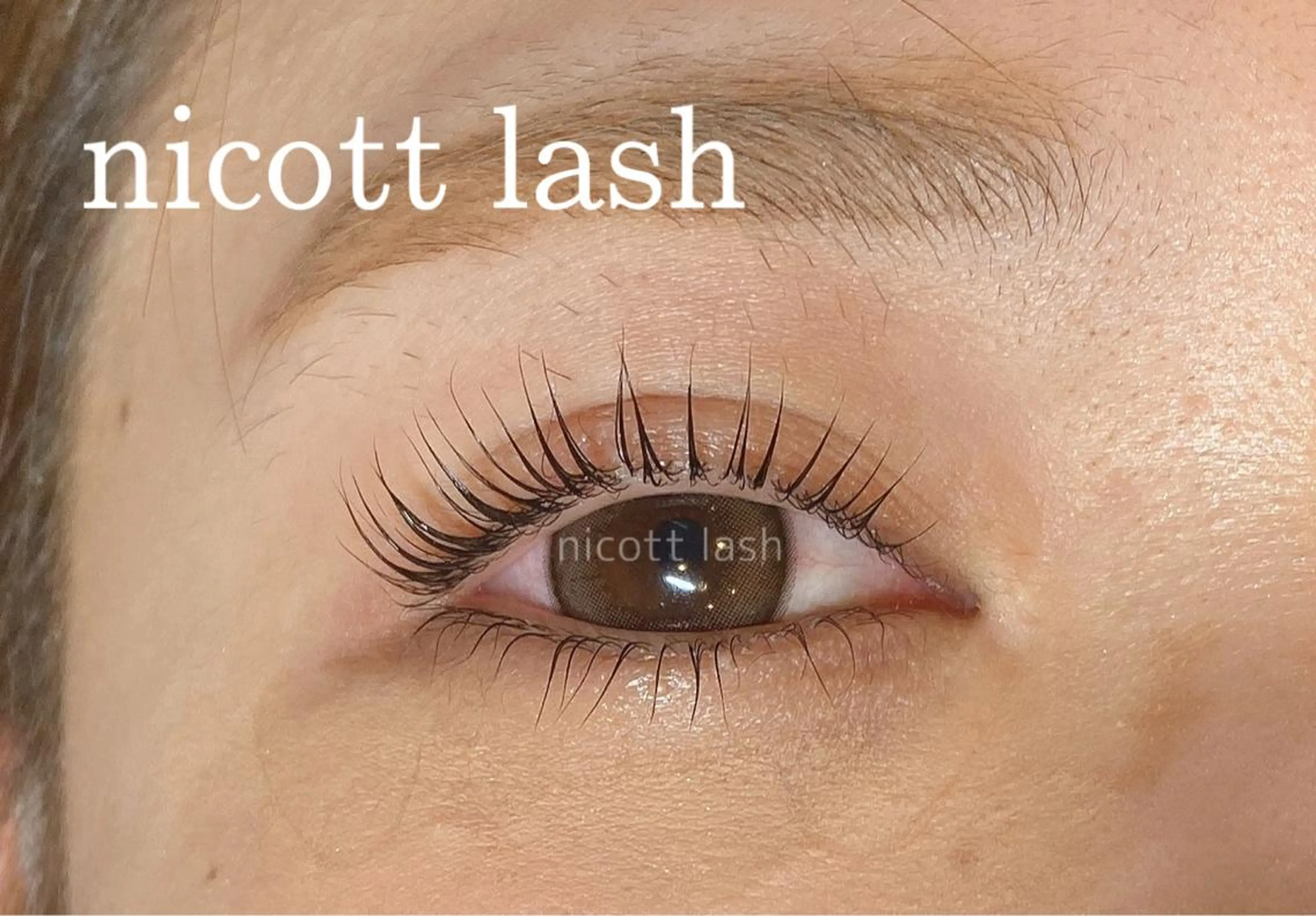 マツエク・マツパ パリジェンヌラッシュリフト 下まつげエクステ 一重×まつ毛パーマ nicottlash 天王寺店のマツエク・マツパデザイン