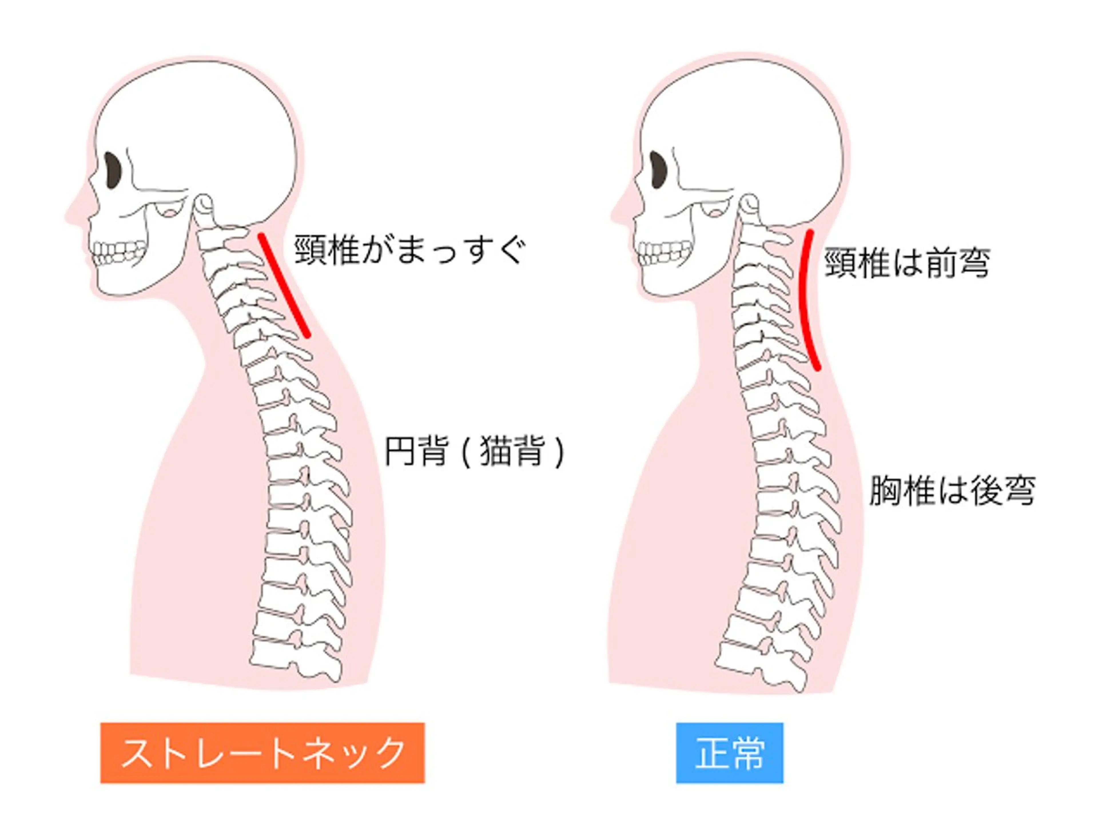 美整体サロン Regのエステ・リラクイメージ
