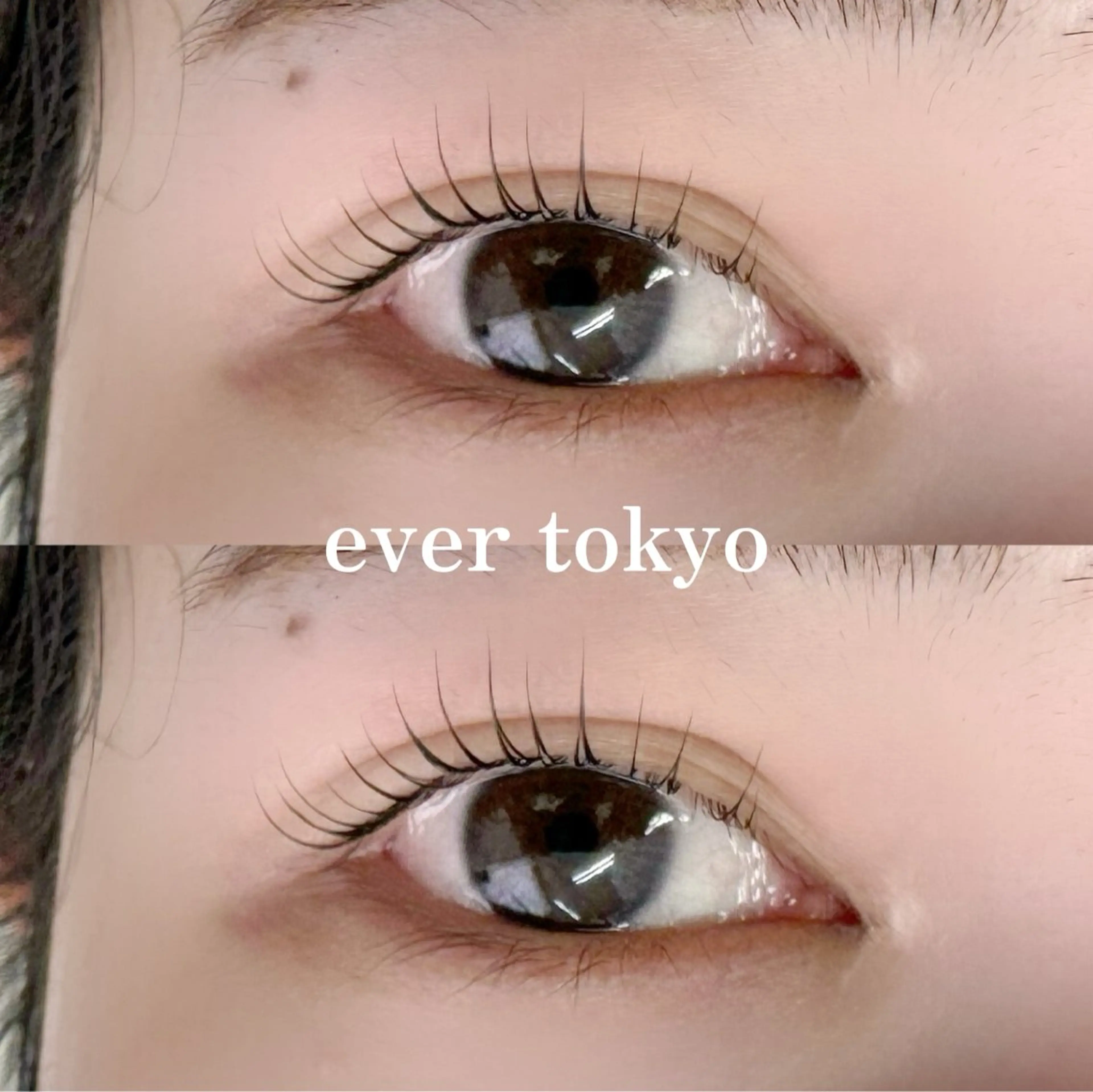 マツエク・マツパ Dカール alicetokyo 天神店のマツエク・マツパデザイン