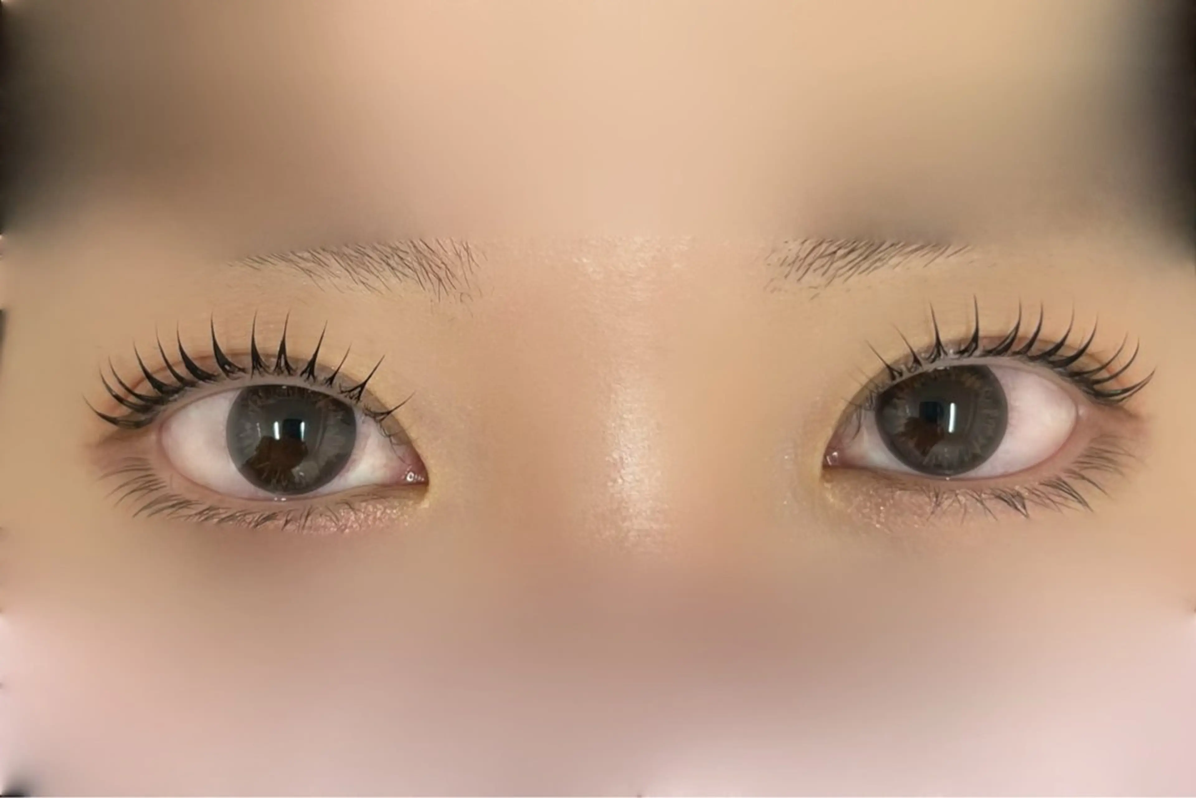 圧倒的垢抜け🇰🇷💖まつげ眉毛のフルメニュー✨韓国まつ毛パーマ上下×眉パーマ×美眉スタイリング(眉パーマ+Wax)の写真