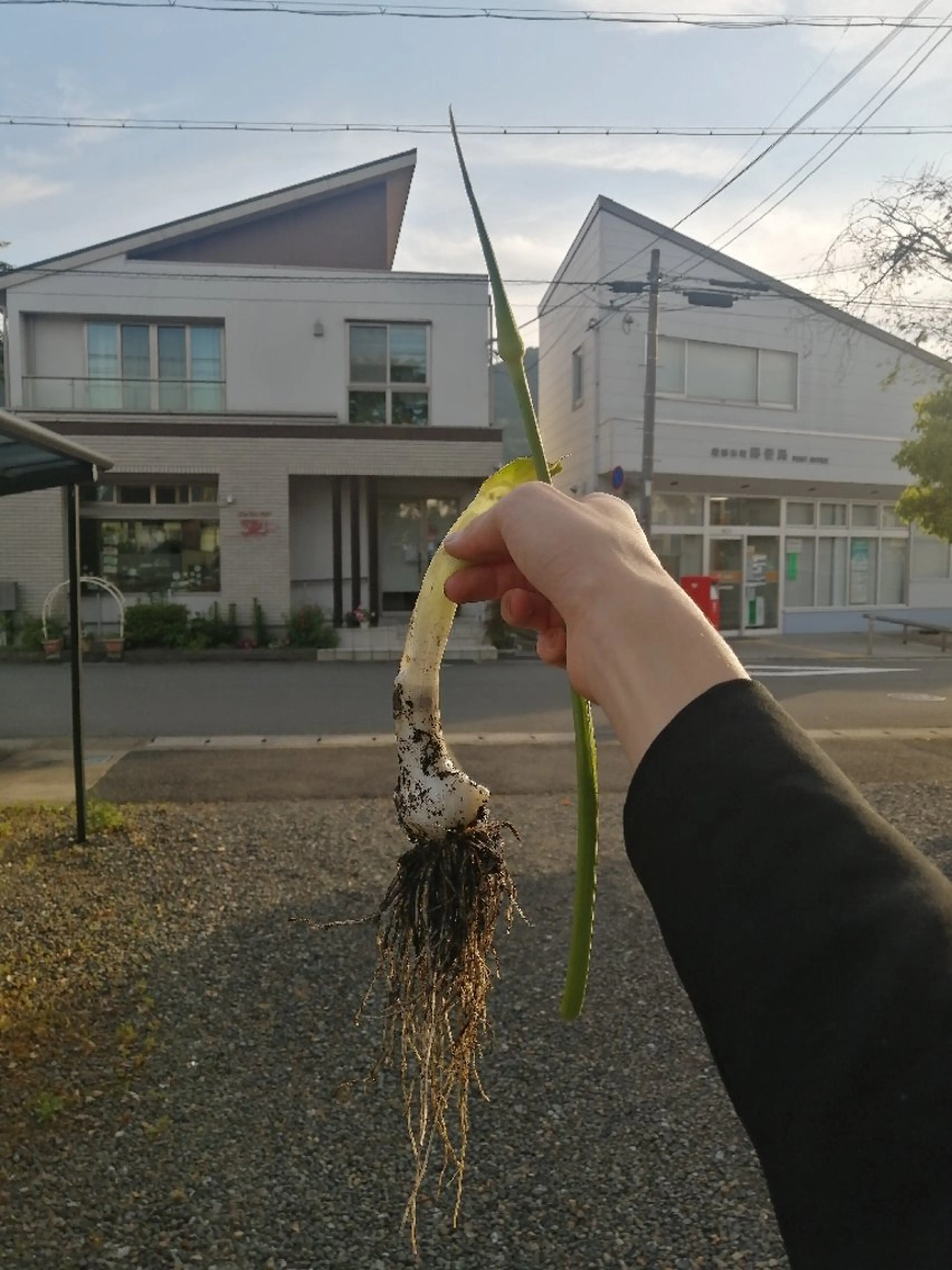 D/i所属・D/i |Y/no. 〈夜スパ17時〜〉のヘアスタイル