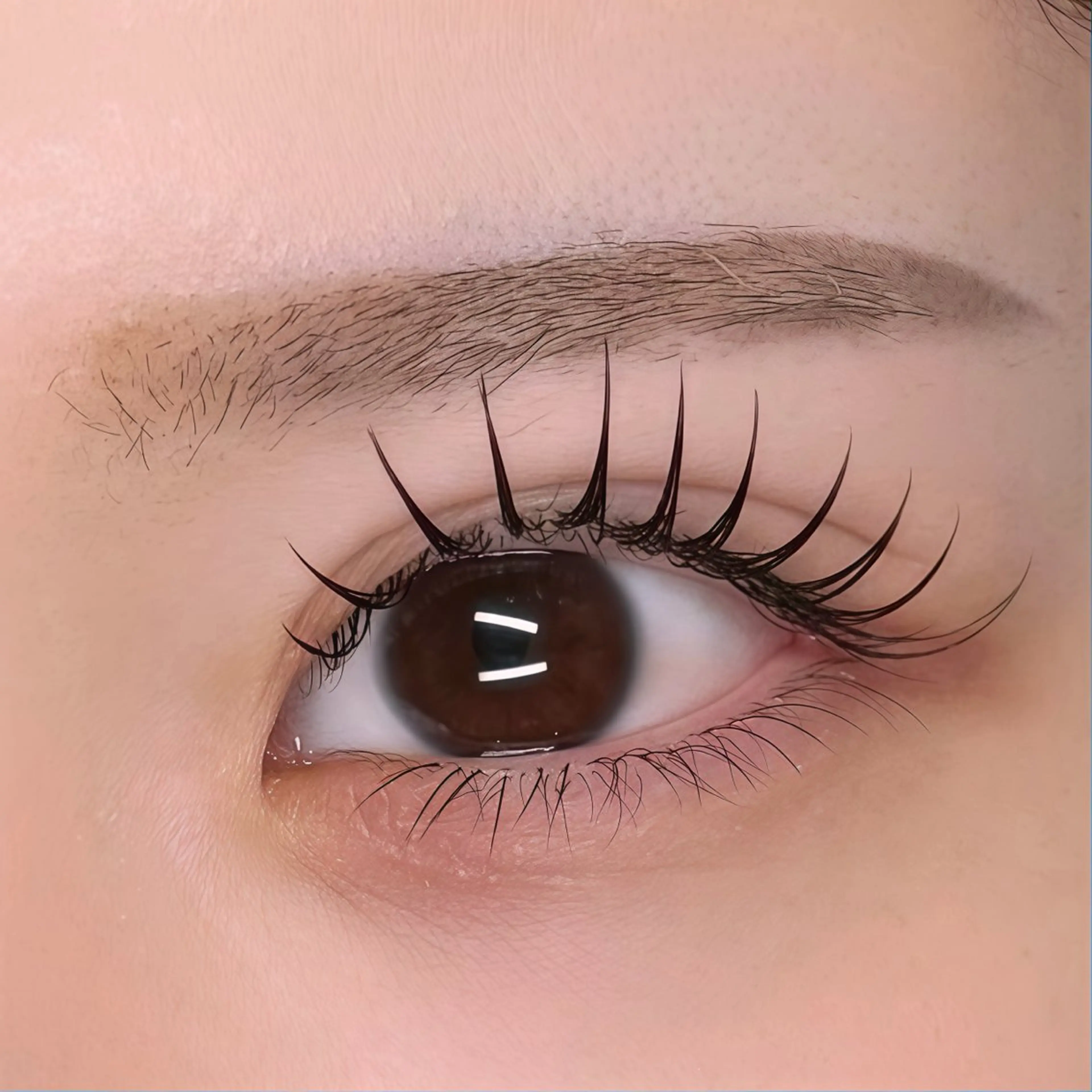 🥉【ﾌﾗｯﾄﾏｯﾄﾗｯｼｭ】上120本/下30本/¥8500▶︎¥5500の写真