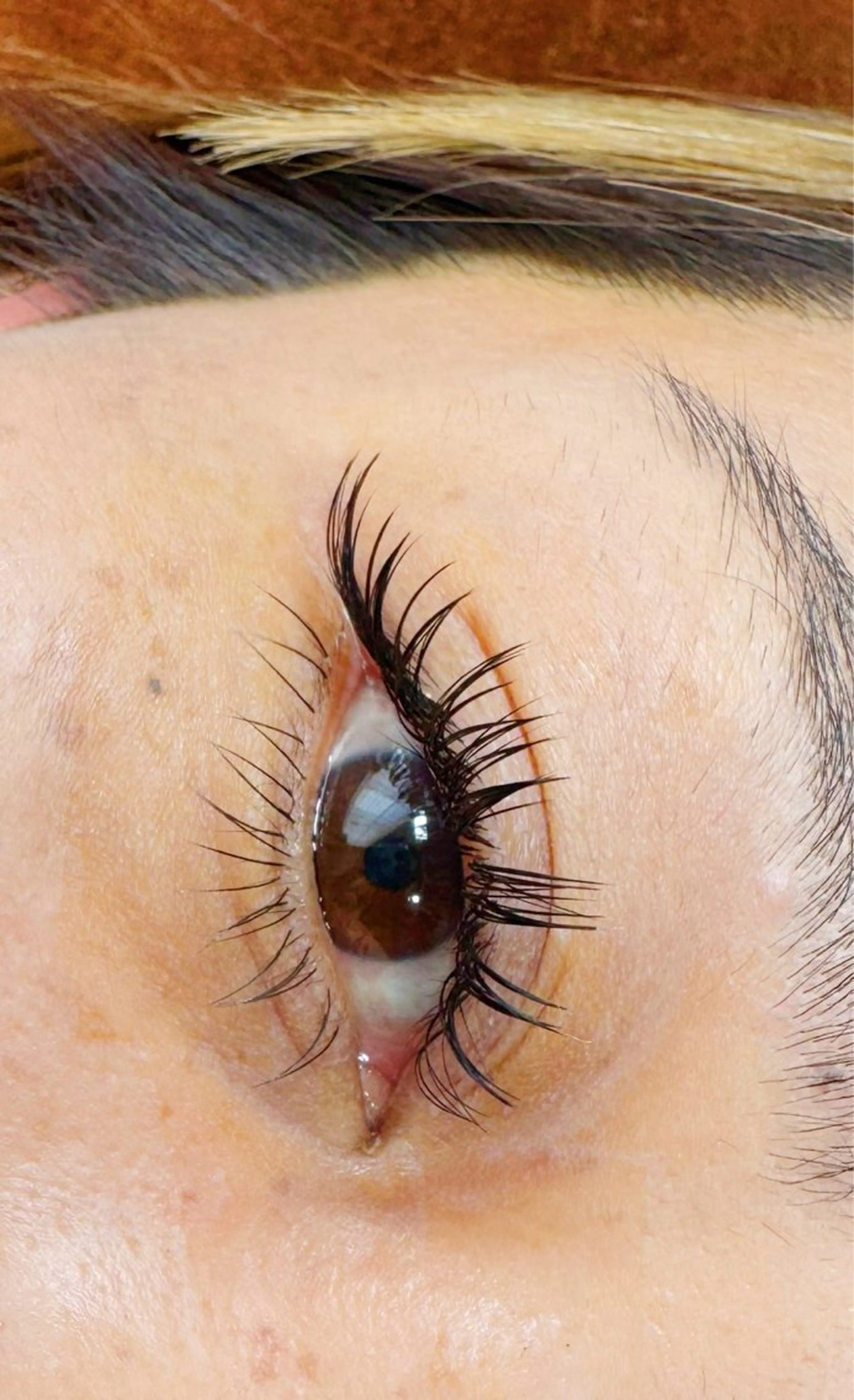 マツエク・マツパ バインドロック 束感まつ毛 inni hair design works所属・Nomura Syukaのマツエク・マツパデザイン