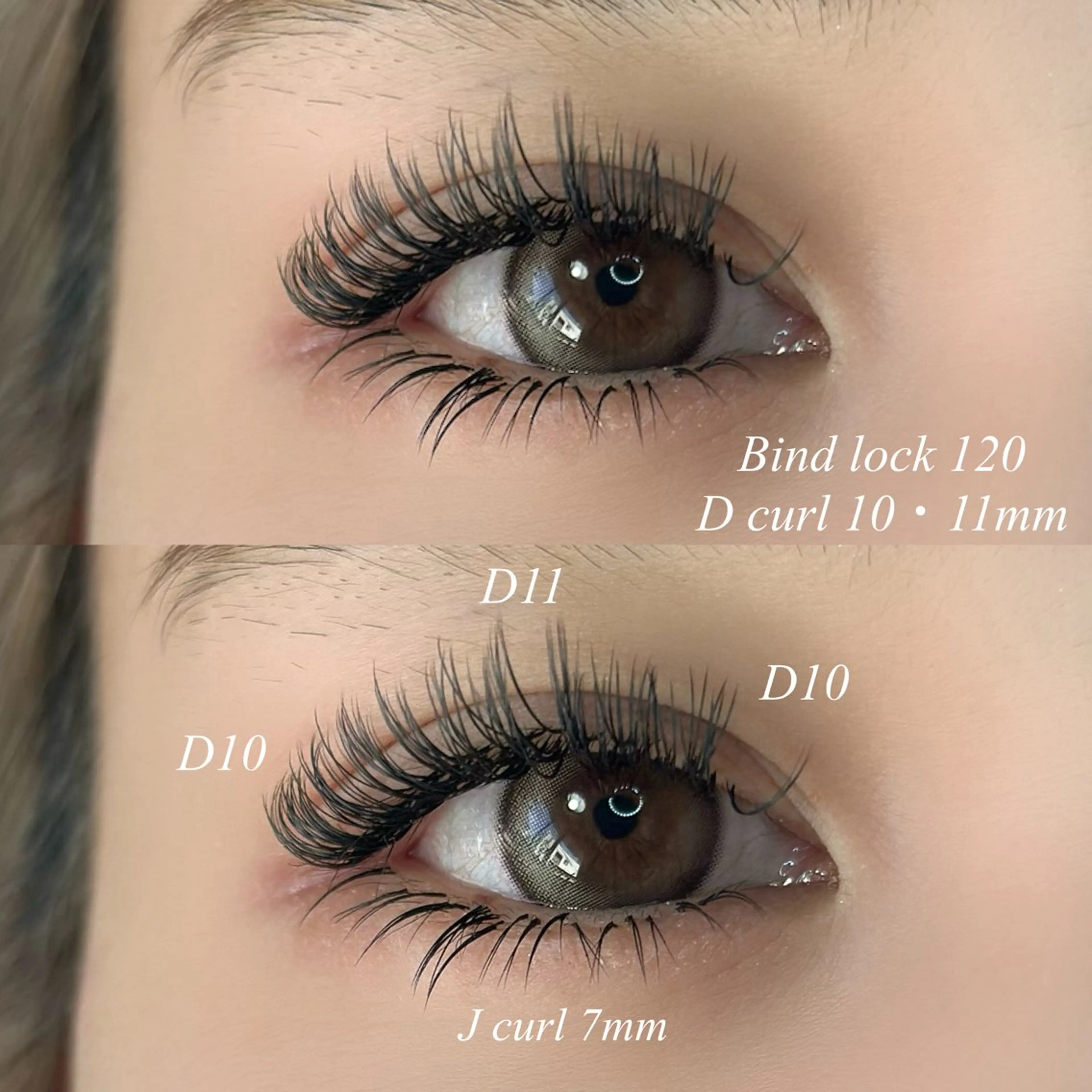 【バインドロック】120束（コーティング付）の写真