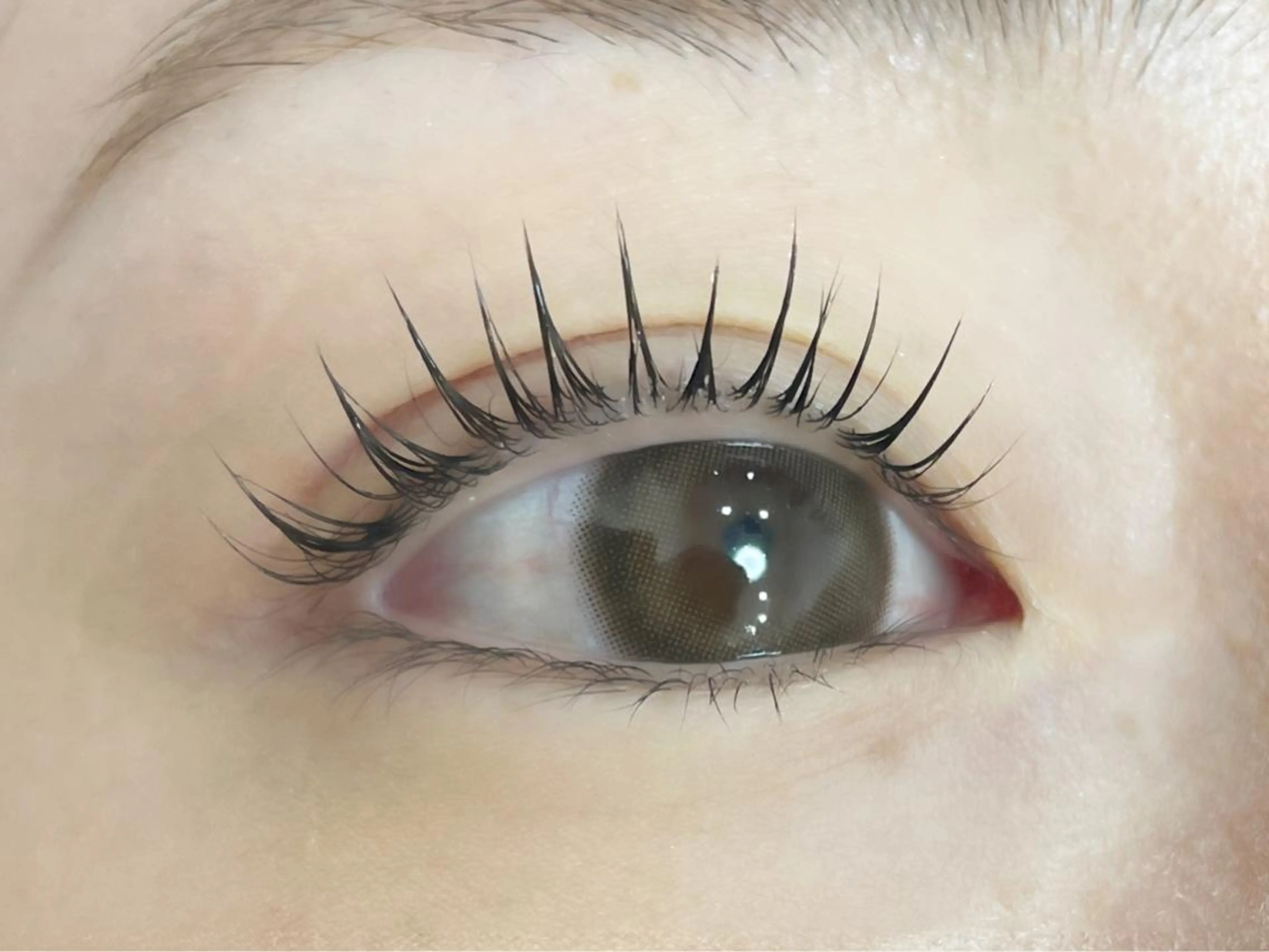 マツエク・マツパ マツパ Lien 川崎店【リアン】所属・LUANATOKYO 🫧武蔵小杉のマツエク・マツパデザイン