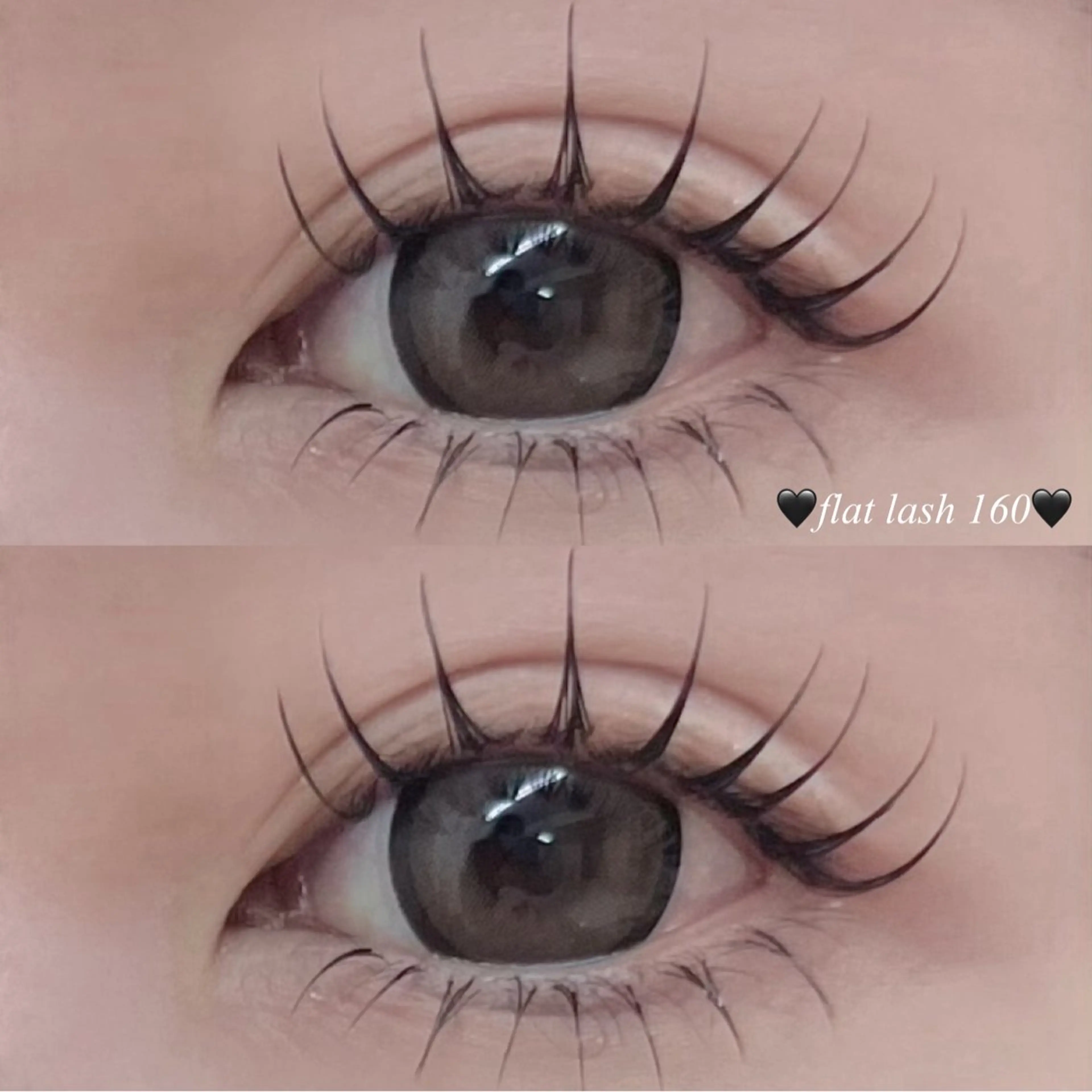 上下マツエク150本振り分け自由🌷（オフ別途+550円）の写真