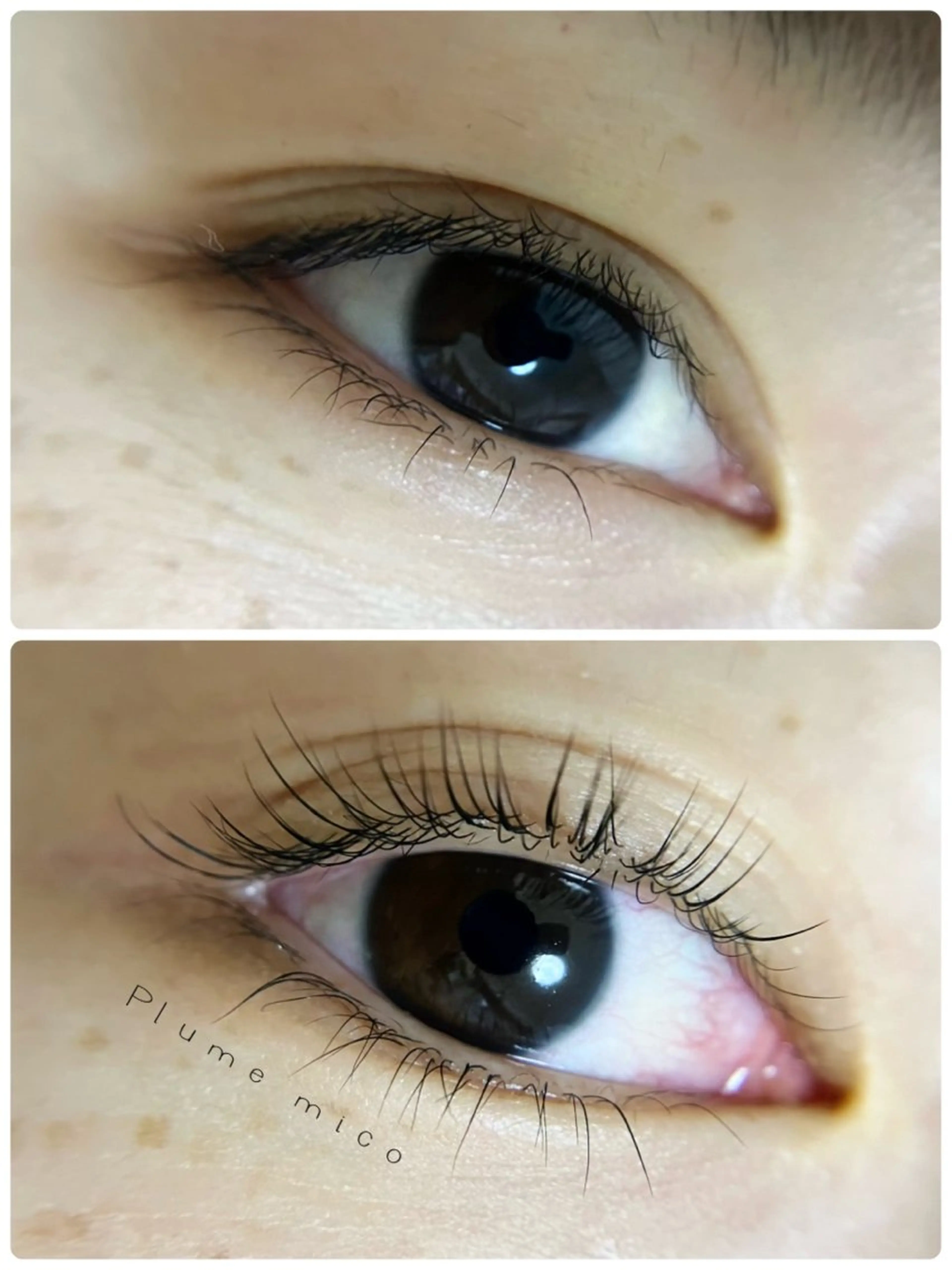 マツエク・マツパ マツパ Plume micoのマツエク・マツパデザイン