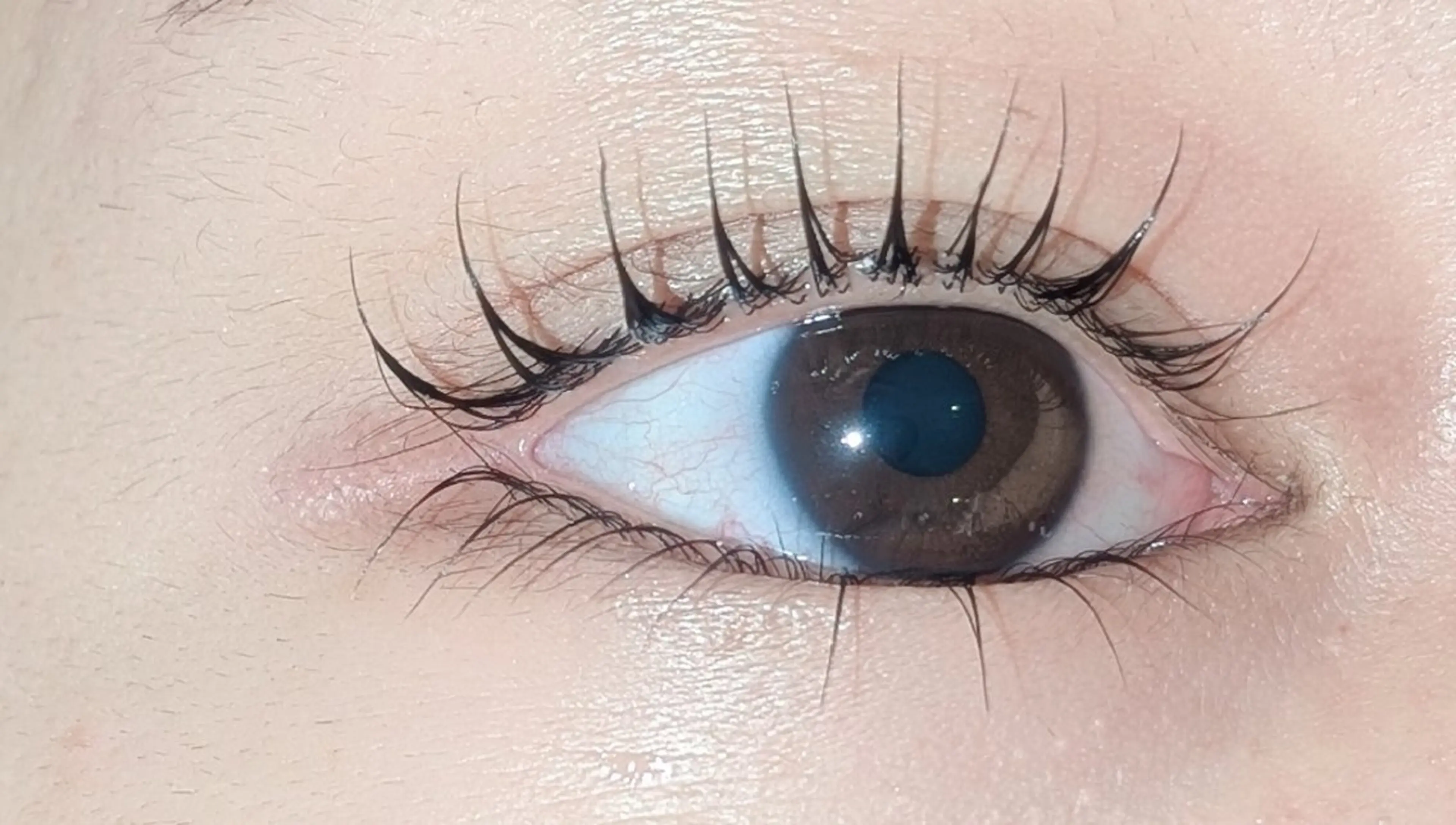 マツエク・マツパ マツパ 🐷Bello 田中 安優奈🐷のマツエク・マツパデザイン