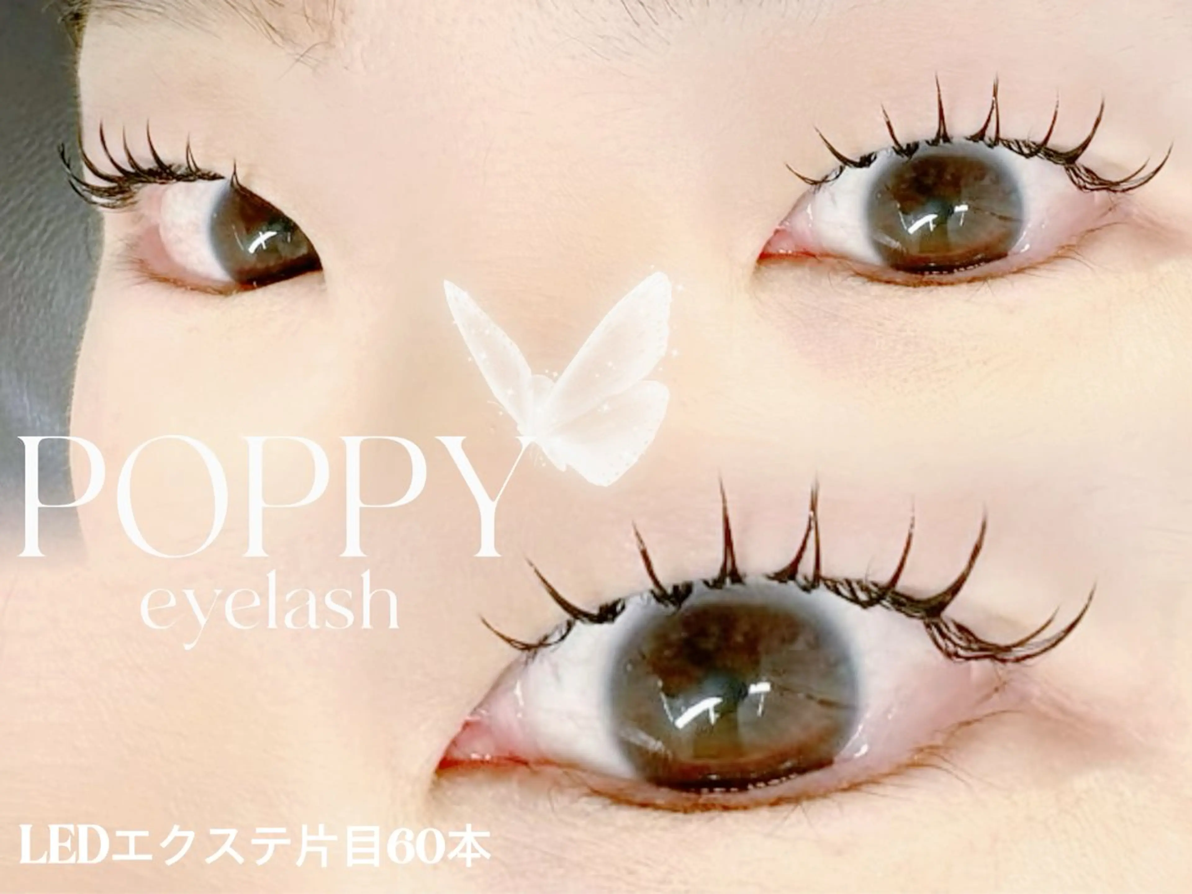 マツエク・マツパ モデル募集 POPPY 川崎のマツエク・マツパデザイン