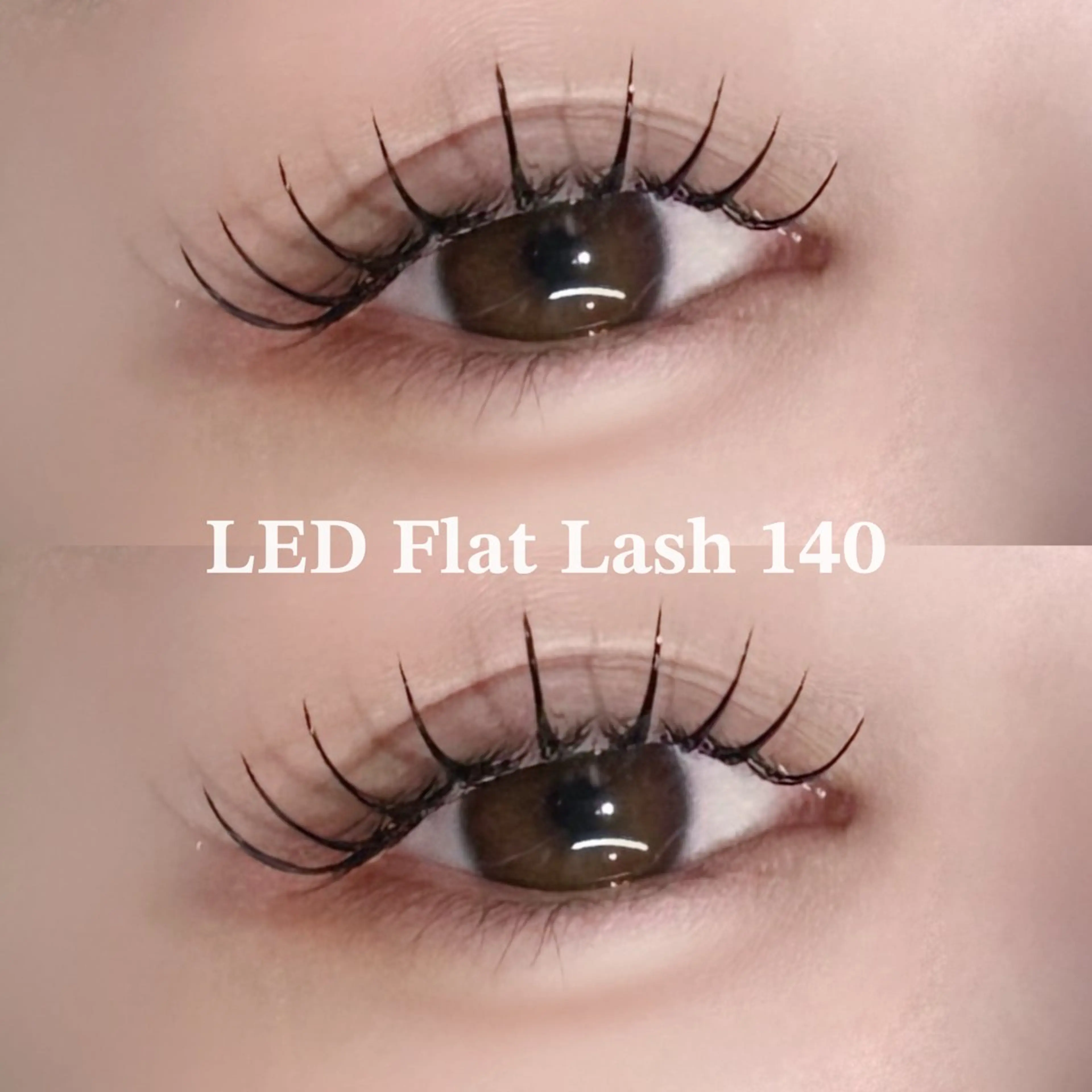 【モチ抜群◎】オフあり🙆🏻LEDフラットラッシュ140本💛ご新規様¥6400/再来様 ¥7730の写真