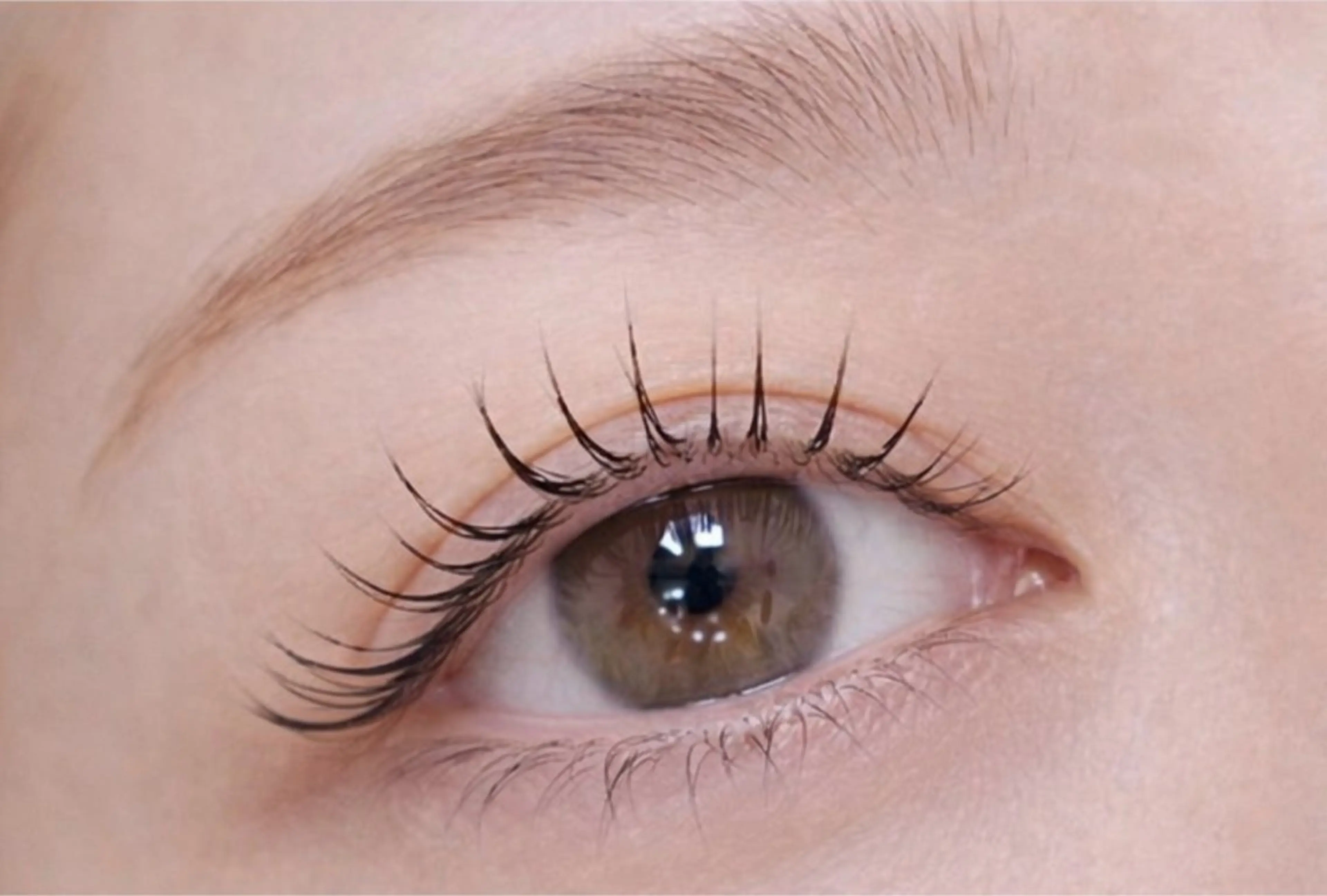 【ご新規様限定】✨🪞LEDフラットラッシュ100本🪞✨束感トリートメントコーティング付きの写真