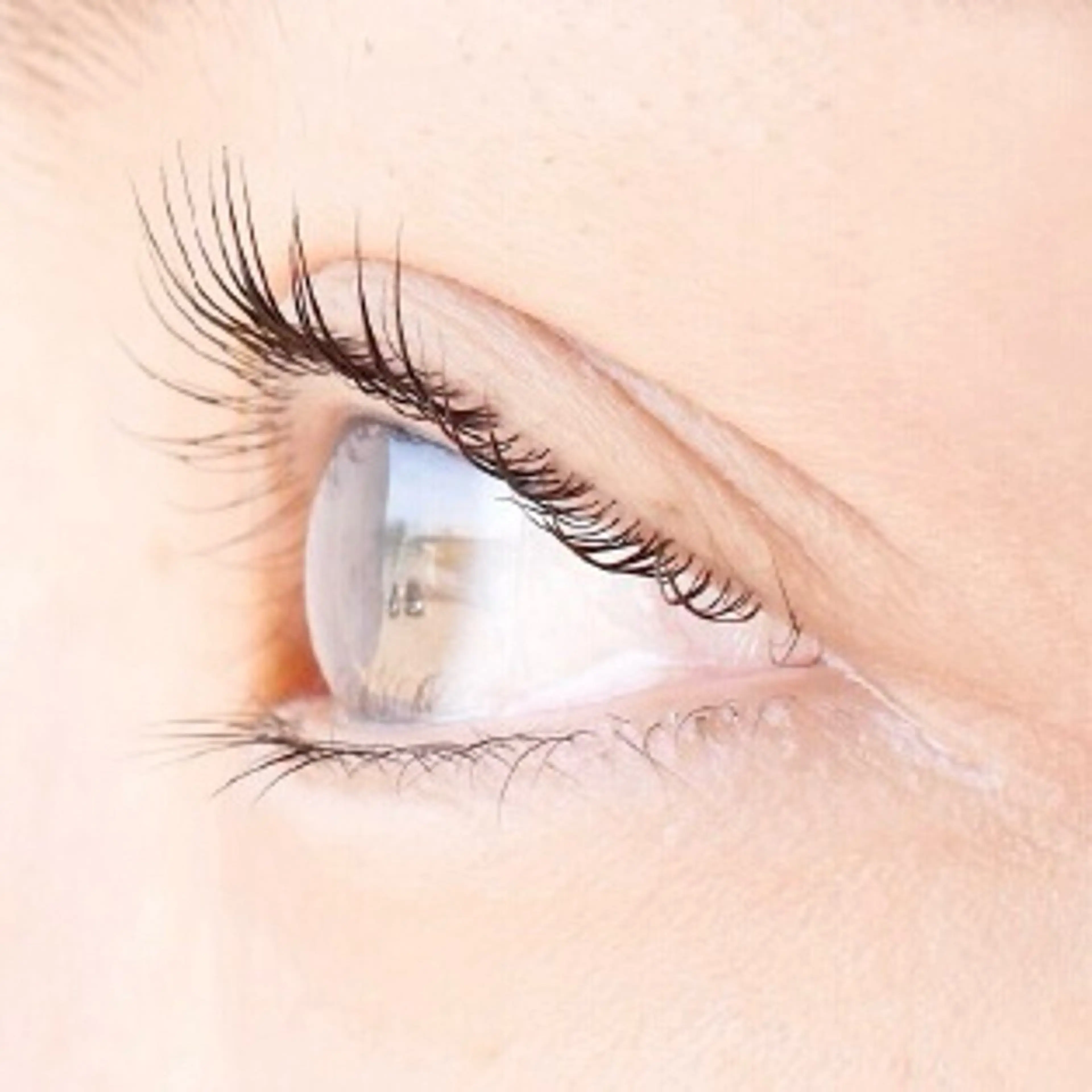 マツエク・マツパ マツパ STUDIO MAYAのエステ・リラクイメージ