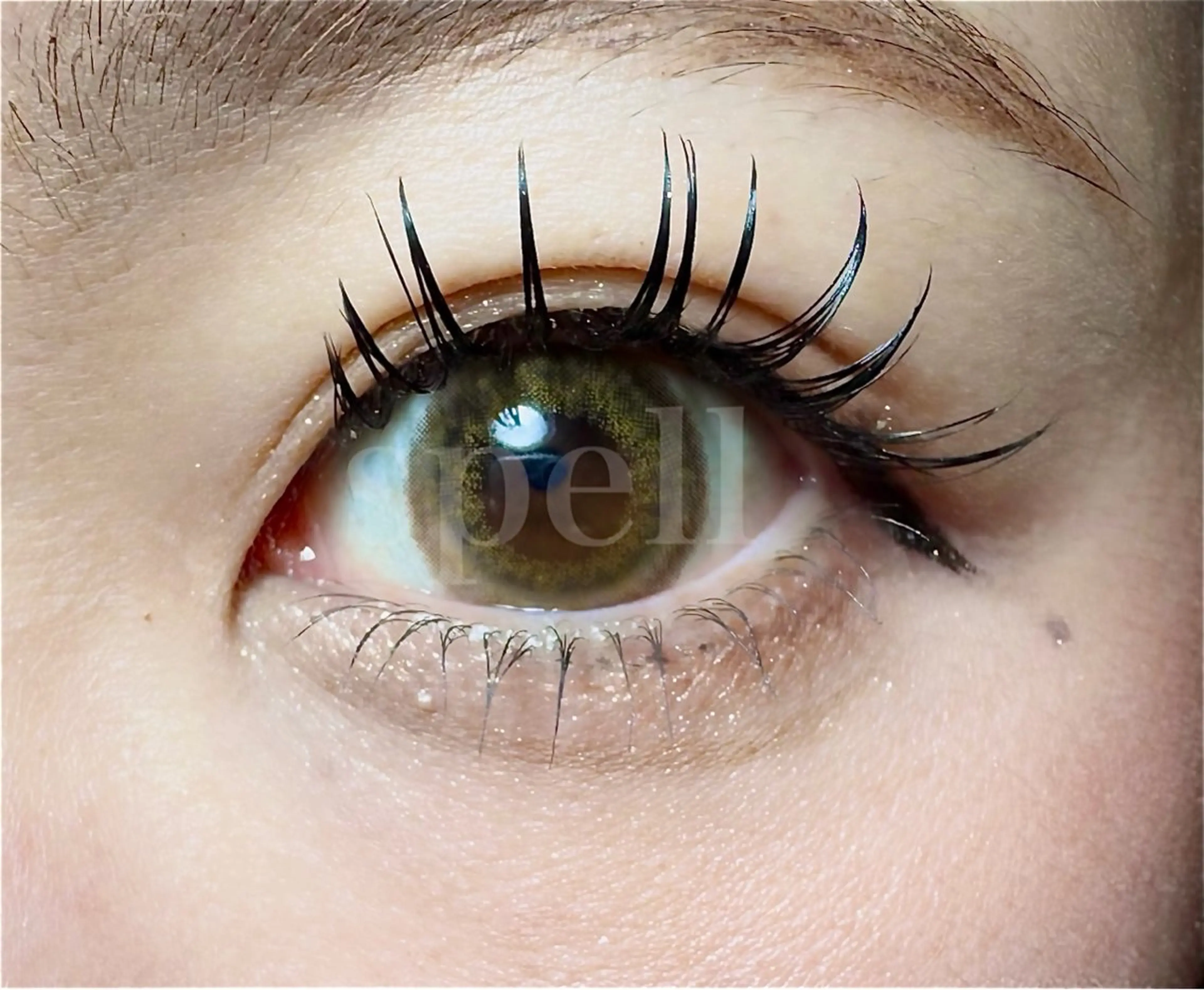 マツエク・マツパ 付け放題 フラットラッシュ まつげパーマ 下まつげエクステ マツパ spell eyelashのマツエク・マツパデザイン
