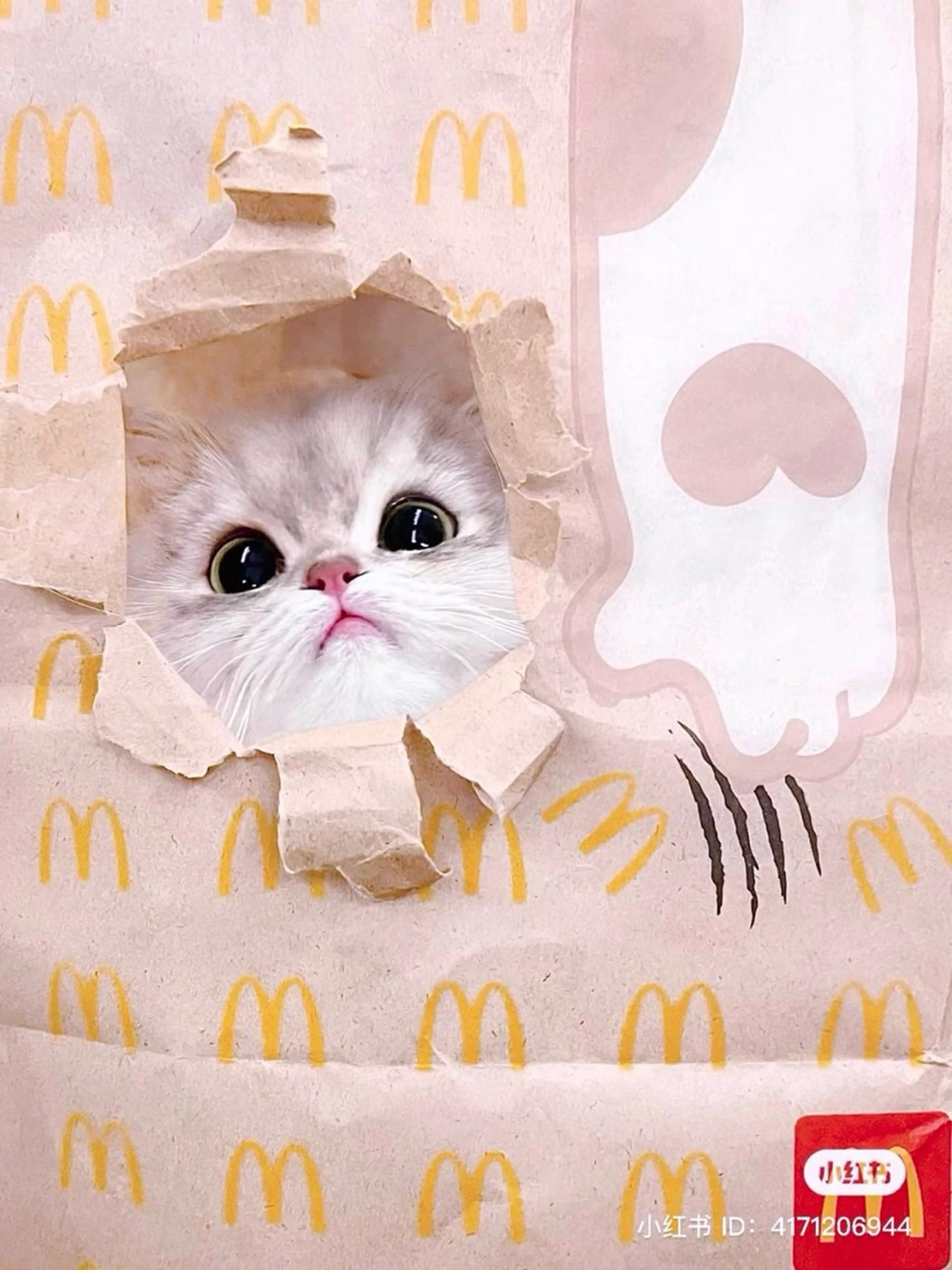 マツエク・マツパ 🎀eyelist. mizuki🐈‍⬛のマツエク・マツパデザイン