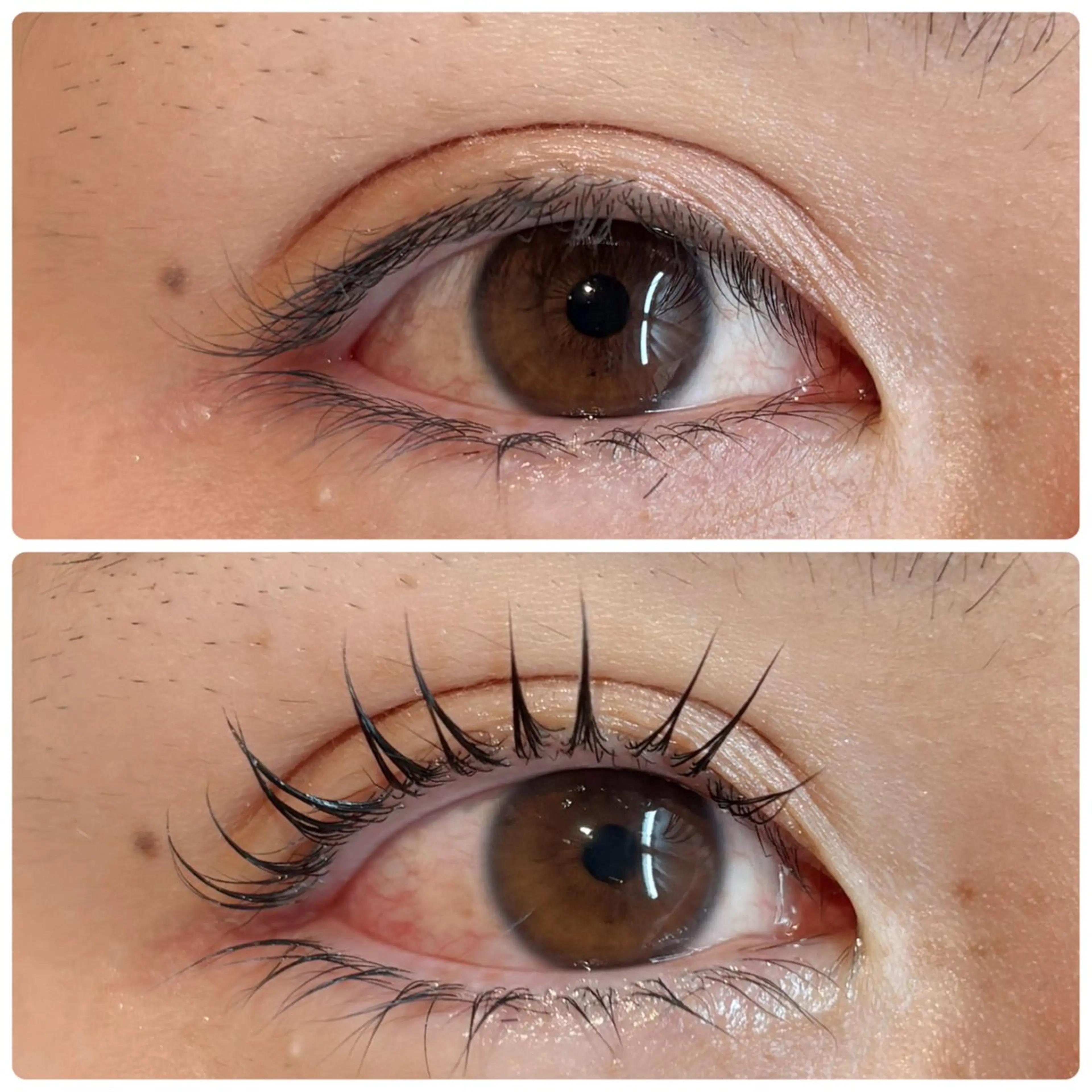 マツエク・マツパ パリジェンヌラッシュリフト Luxe 星野のマツエク・マツパデザイン