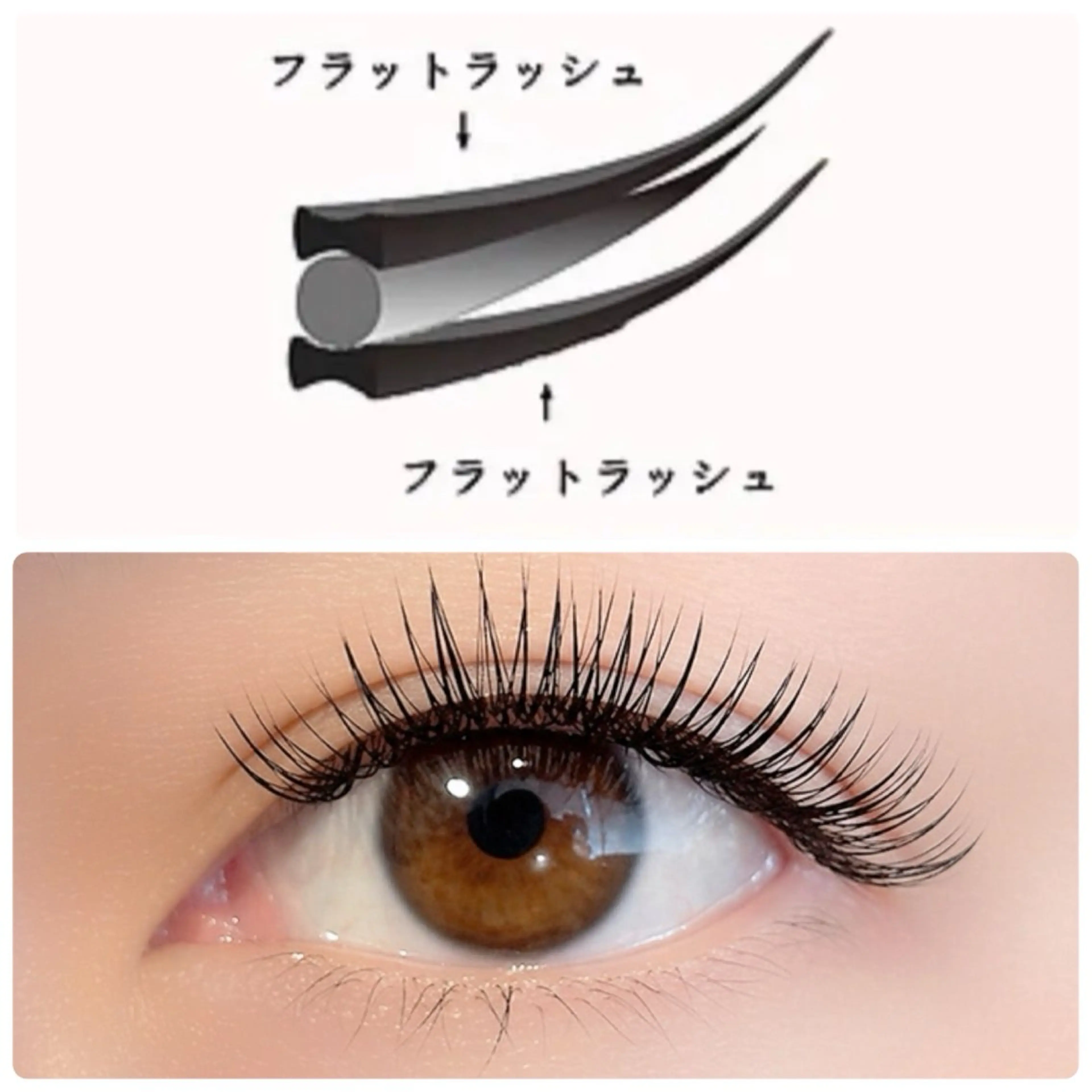 【11日限定🪄】メガフラ60束から80束🌙.*·̩͙（シングルで120本から160本）0円の写真