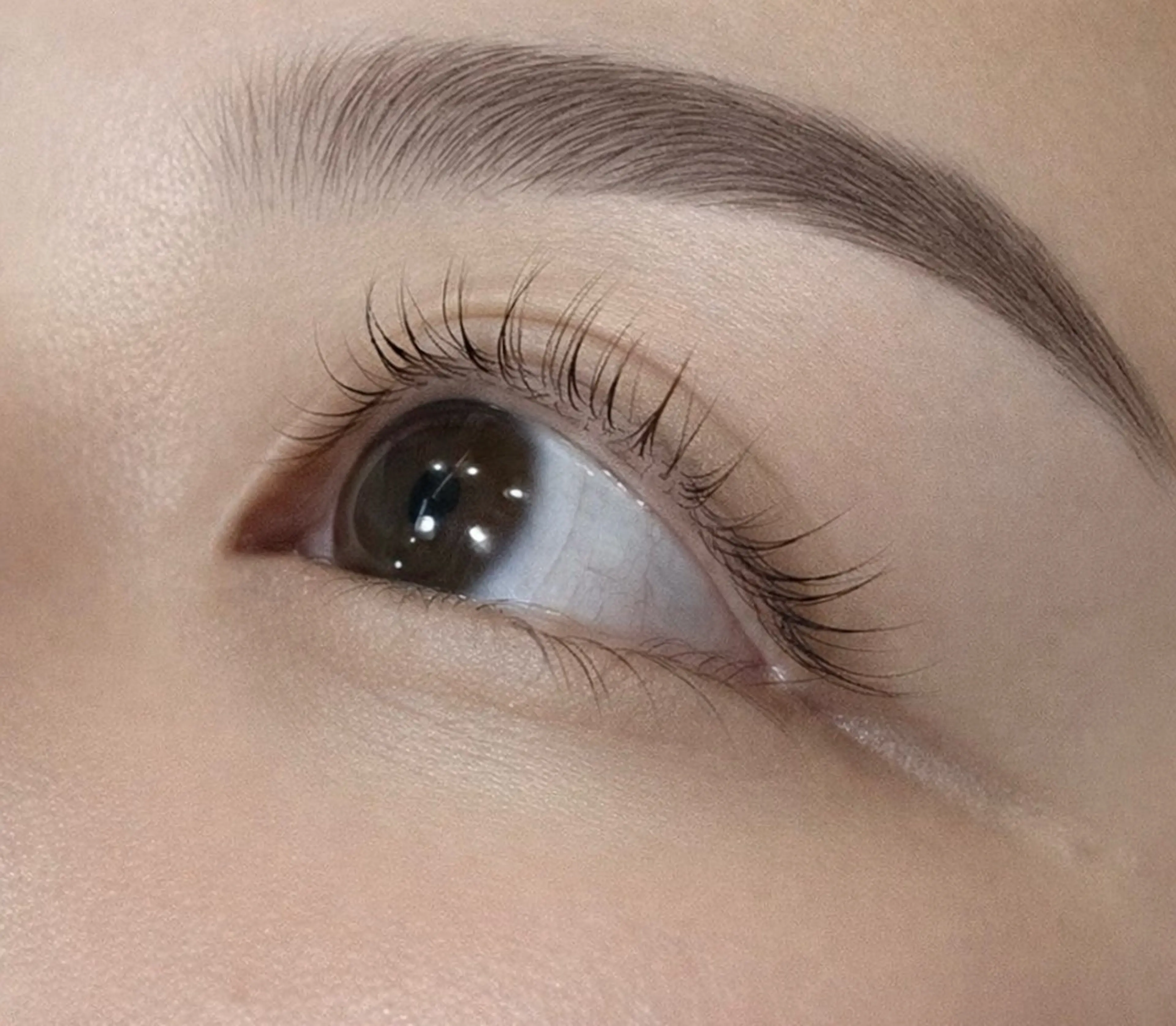 🎀まつげパーマ🎀今だけのこの価格❕様々なデザイン可能です✨（上のみ）の写真