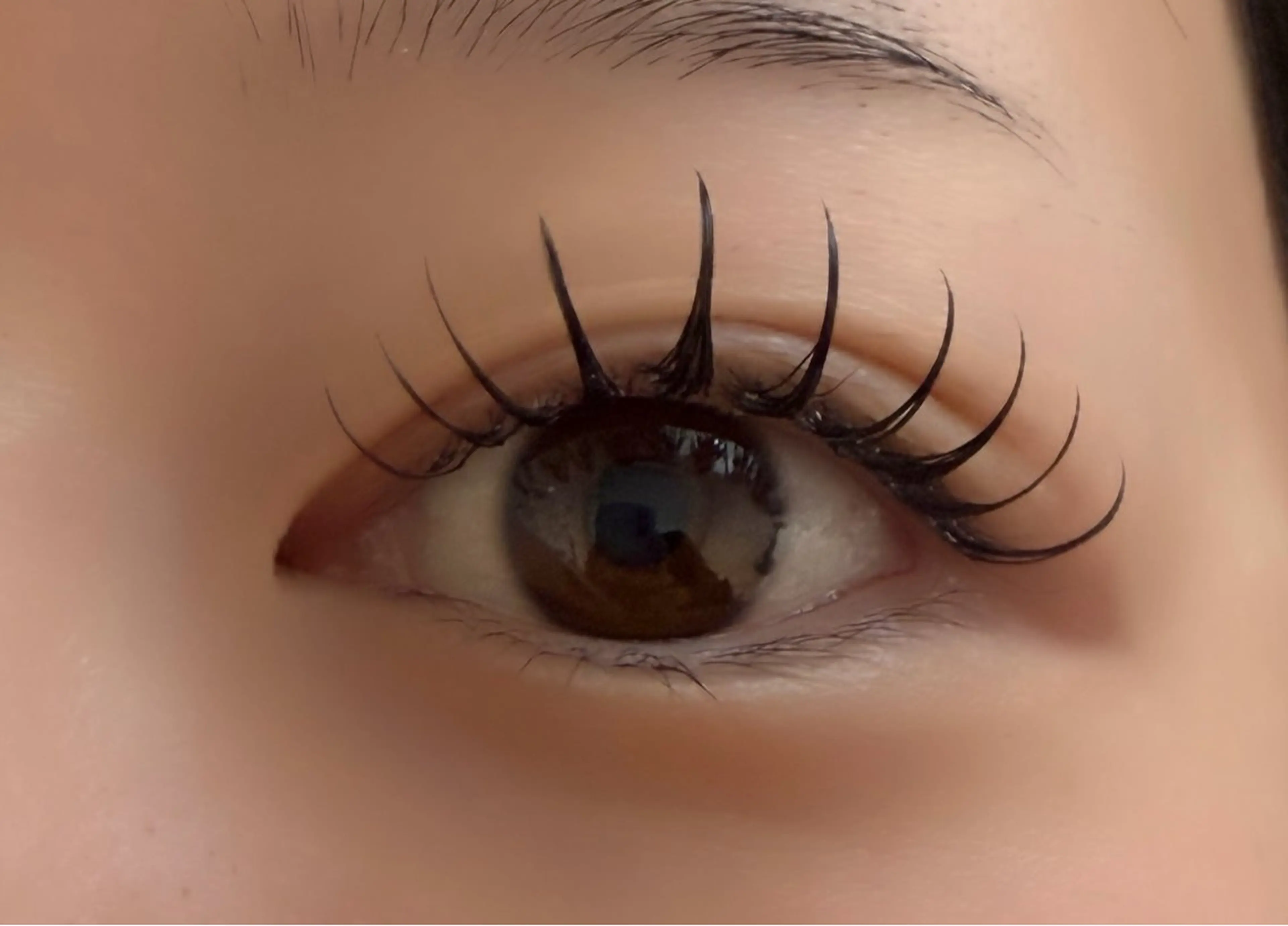 マツエク・マツパ フラットラッシュ マツエク ルチア💞 lucia高田馬場のマツエク・マツパデザイン