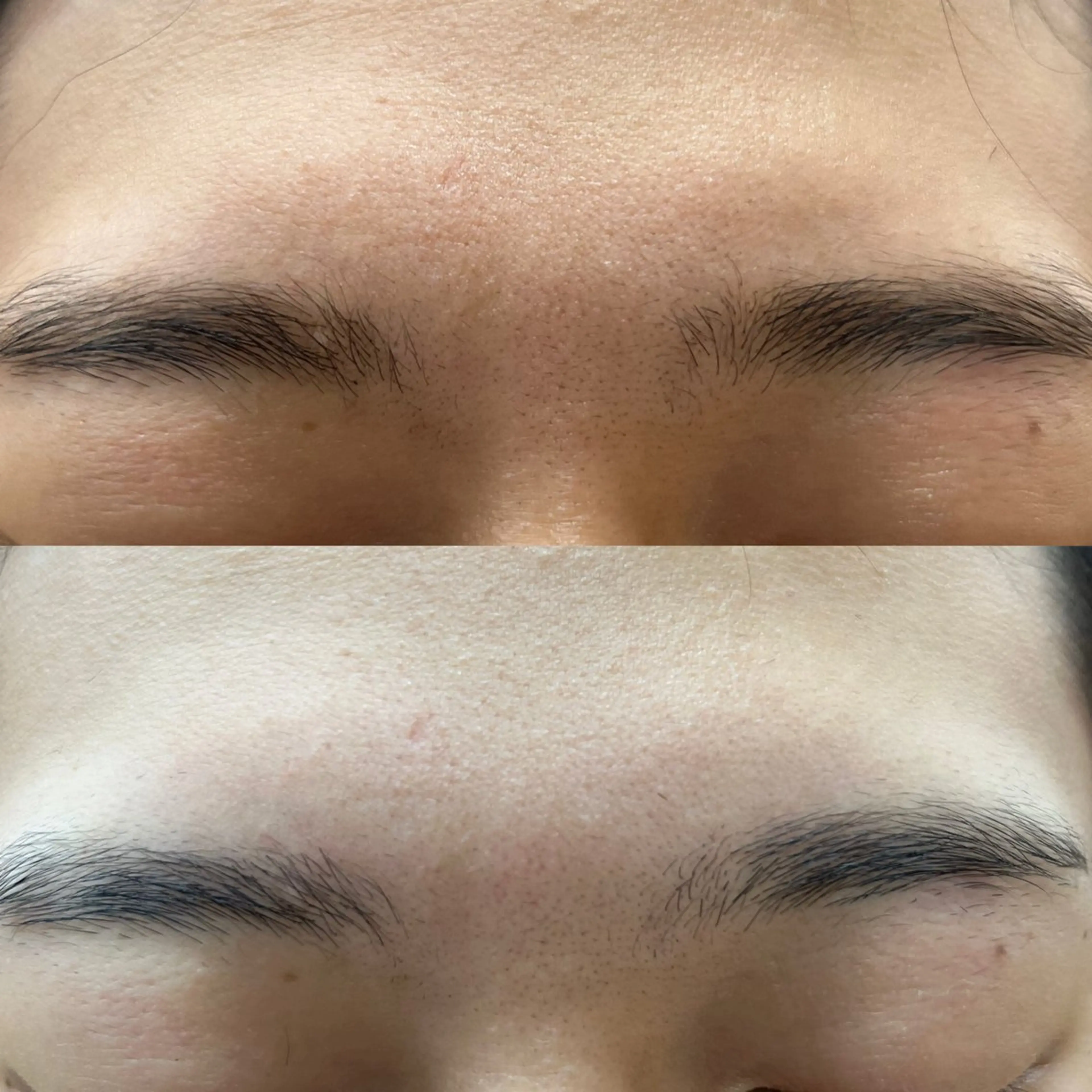 メンズ アイブロウ 眉カット その他(アイブロウ) ⚡️モデル募集⚡ 本田誠也⚡️のヘアスタイル