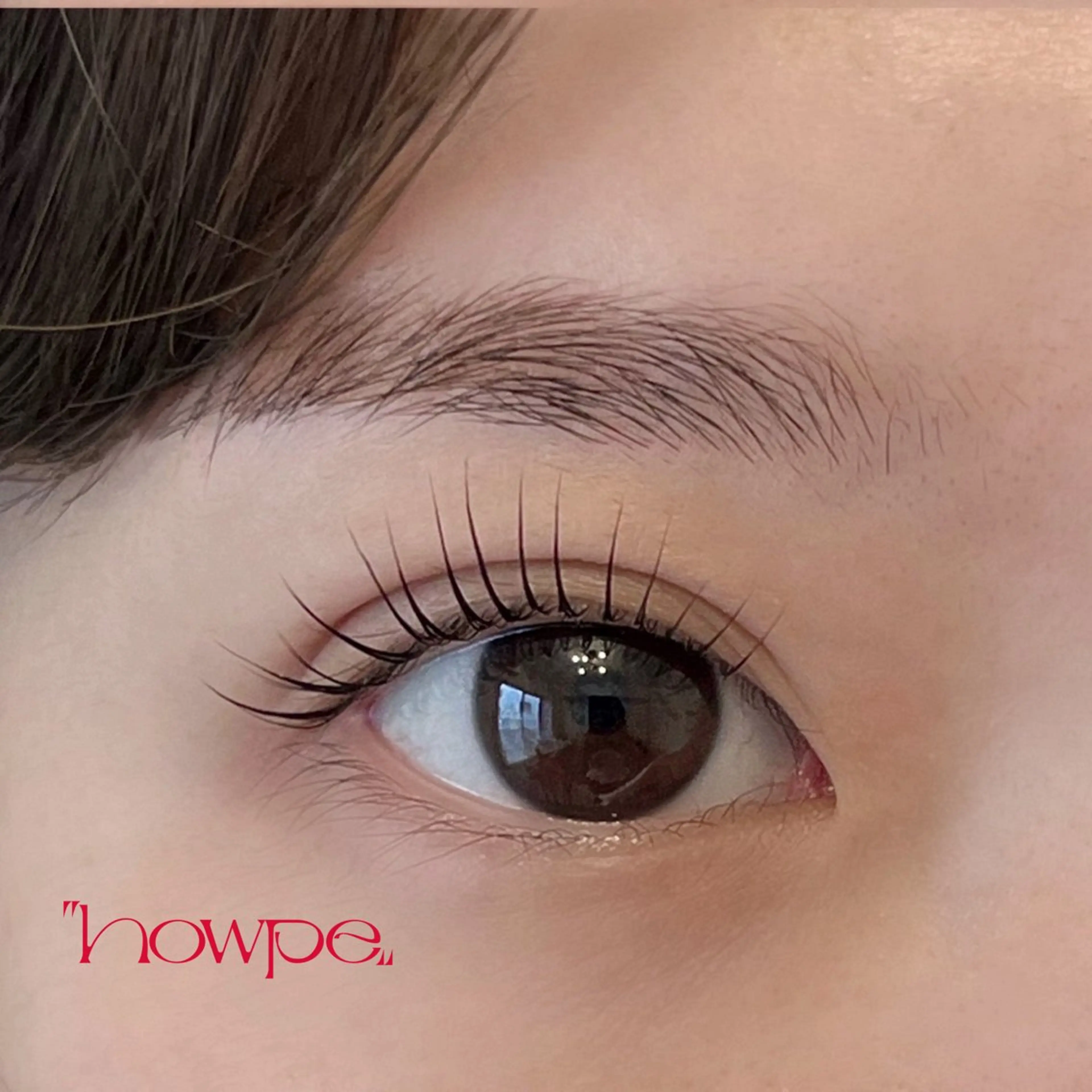 lash lift 束感まつ毛パーマコーティング付きの写真