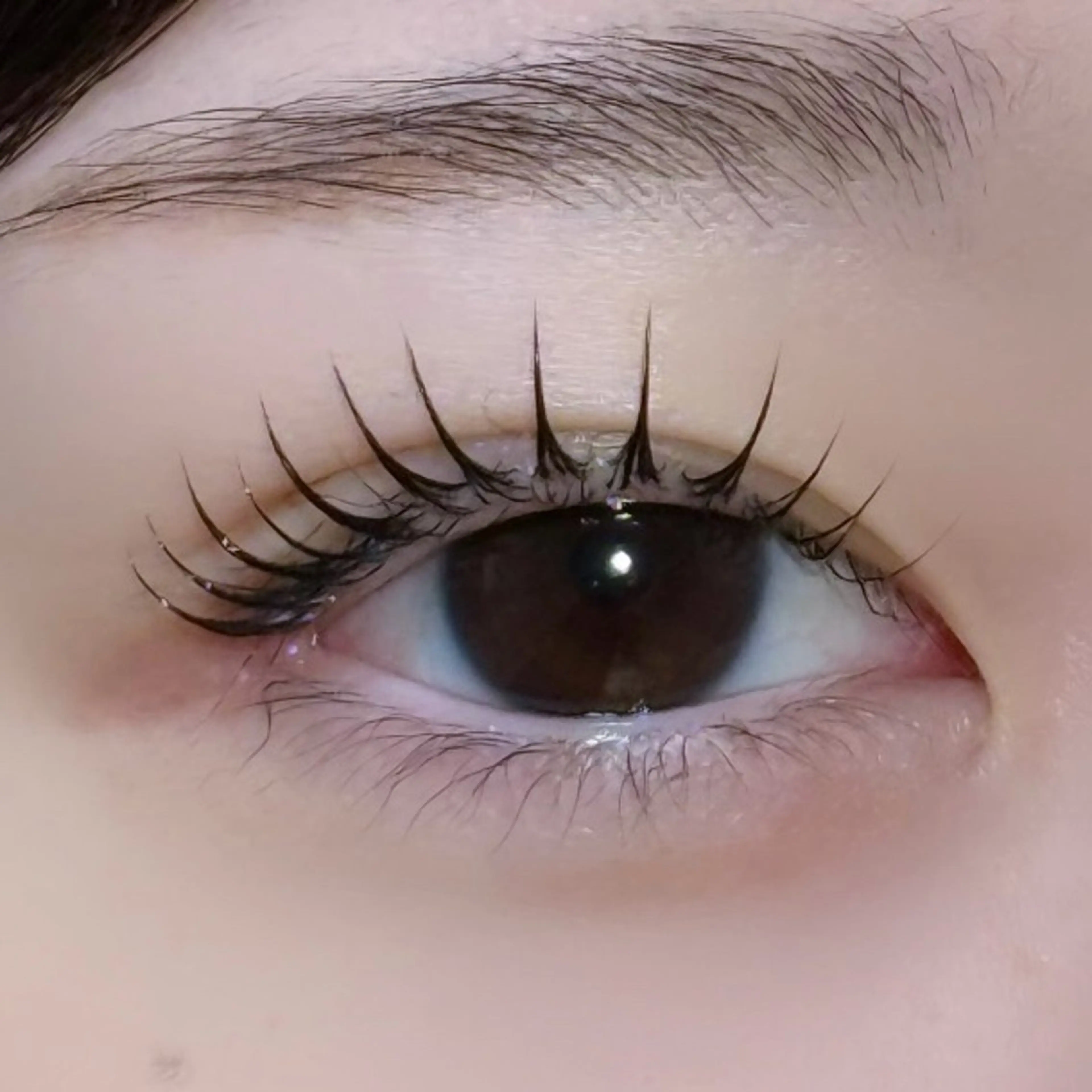 【ラッシュリフト】次世代まつげパーマ[コーティング剤付]の写真