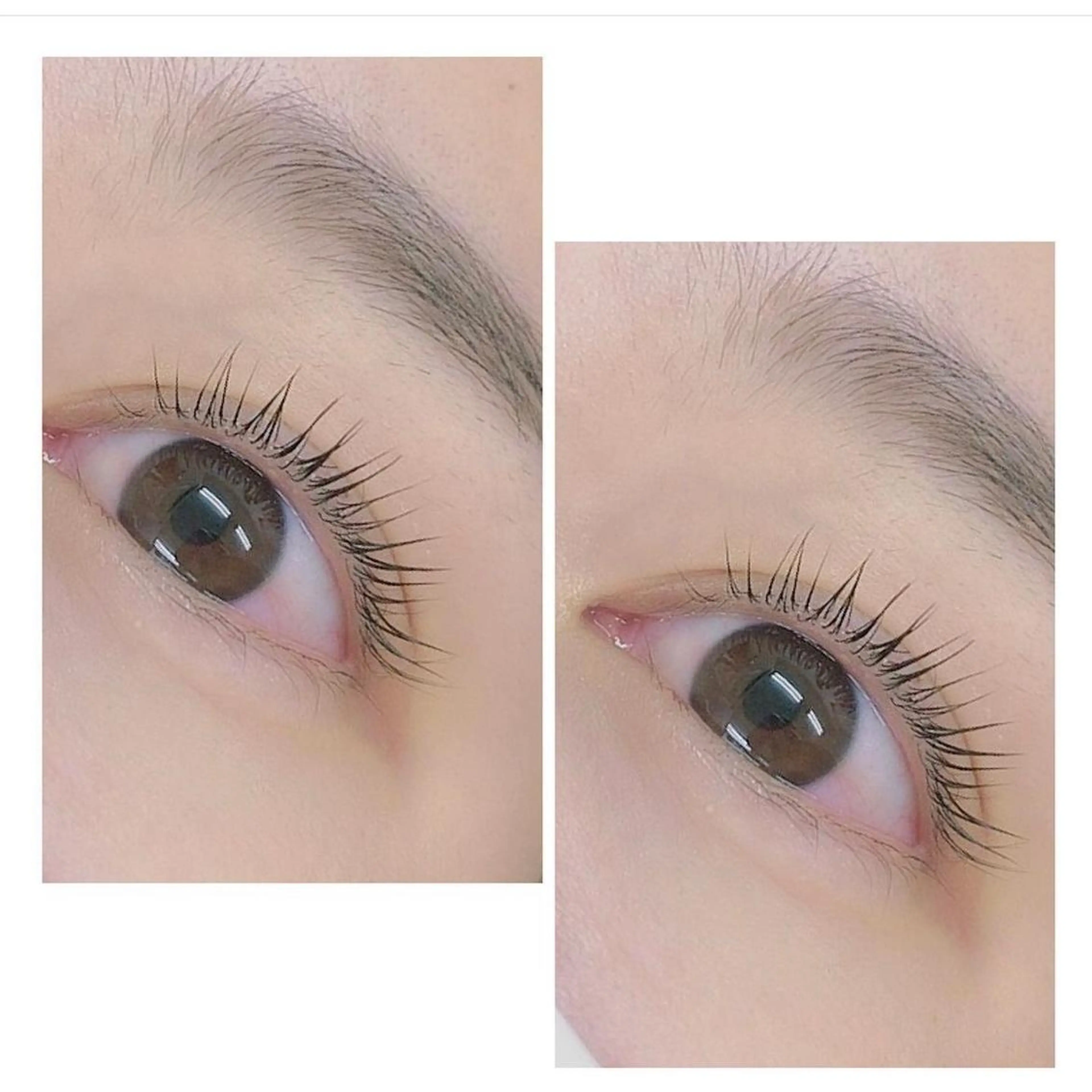 マツエク・マツパ パリジェンヌラッシュリフト まつげパーマ 一重×まつ毛パーマ LAUREL川崎店 ERIKO🐰束感♡のマツエク・マツパデザイン