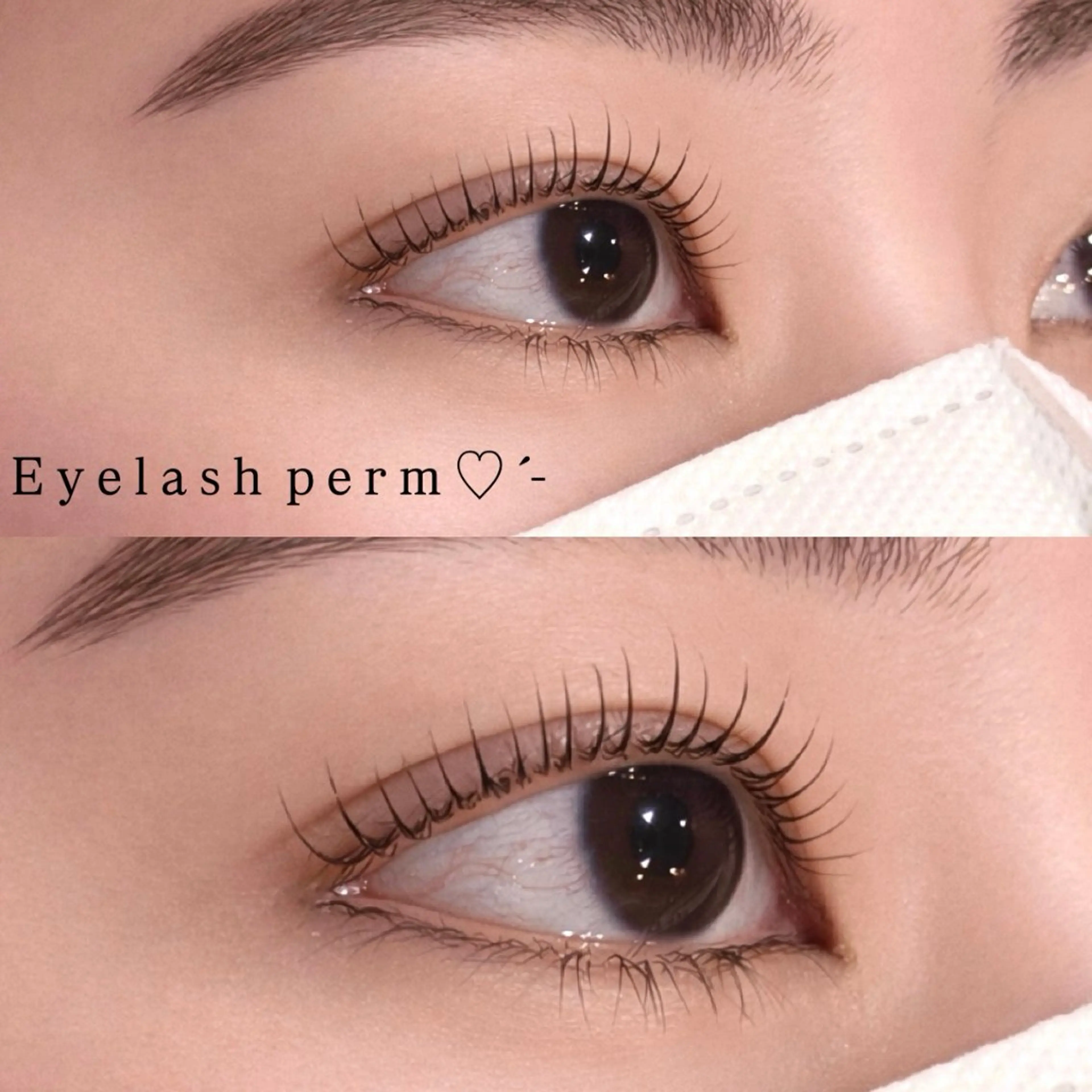 マツエク・マツパ マツパ La Bless / rina💫のマツエク・マツパデザイン