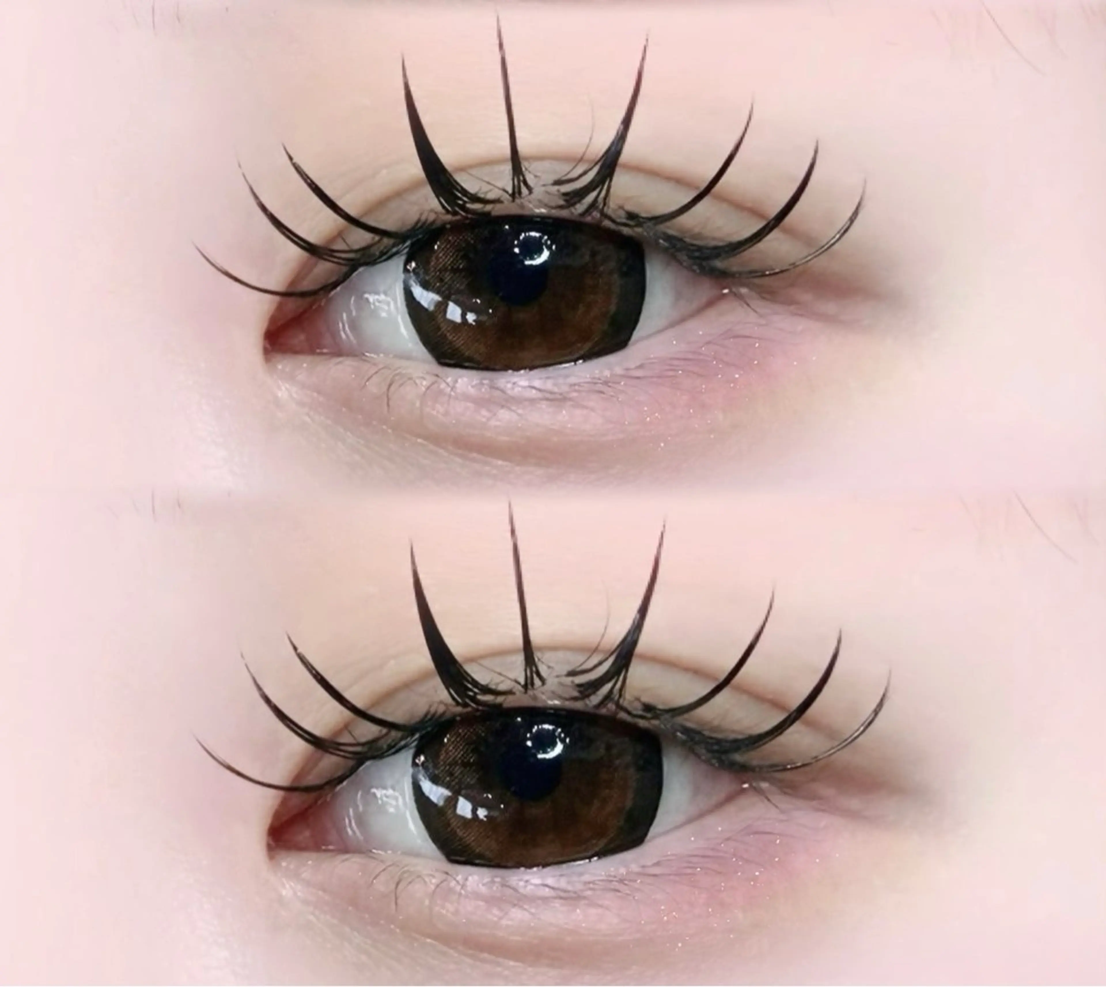 《オフ無料》メガマットボリュームラッシュ160本　¥8000→の写真