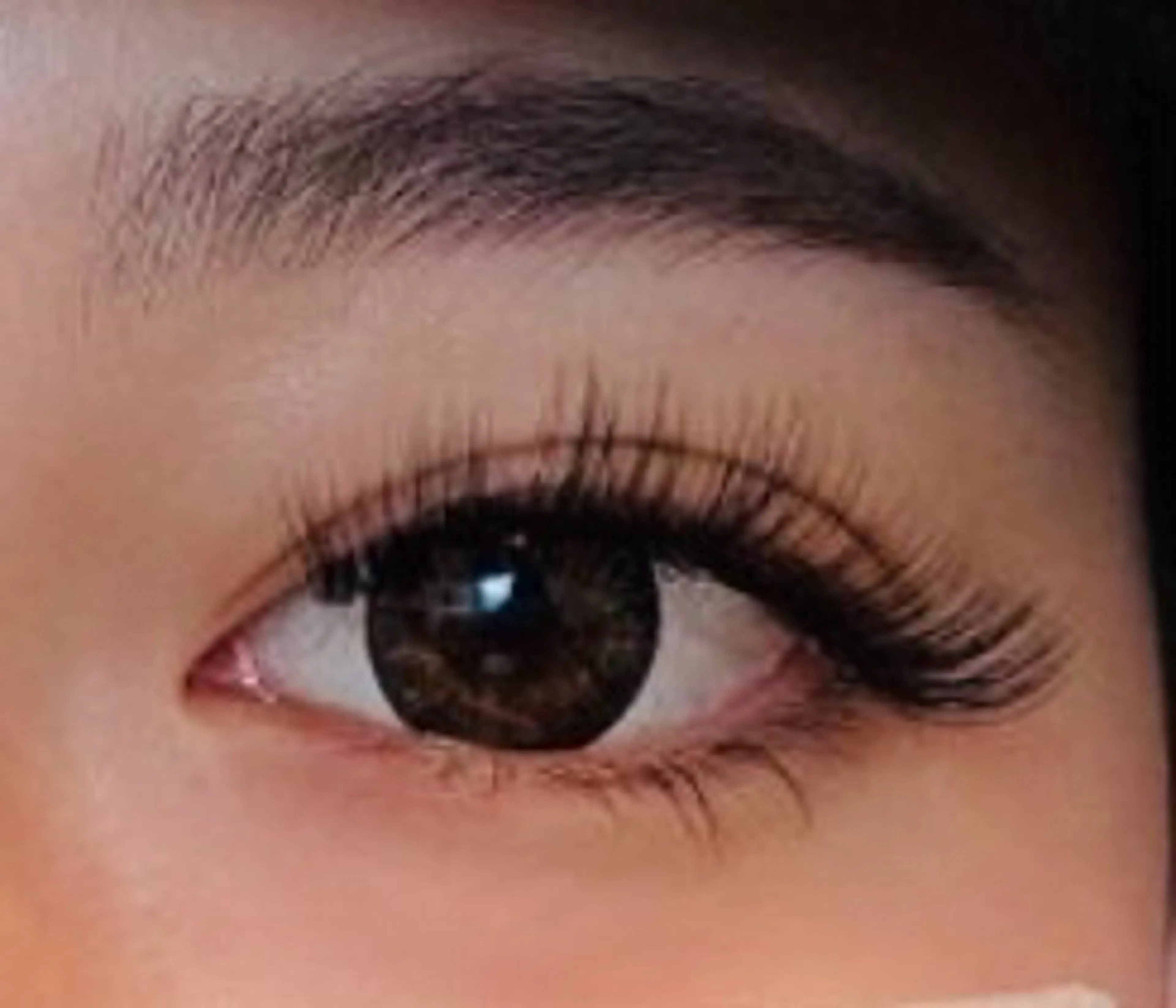 マツエク・マツパ Dカール ボリュームラッシュ ペペEye Beauty新宿のマツエク・マツパデザイン