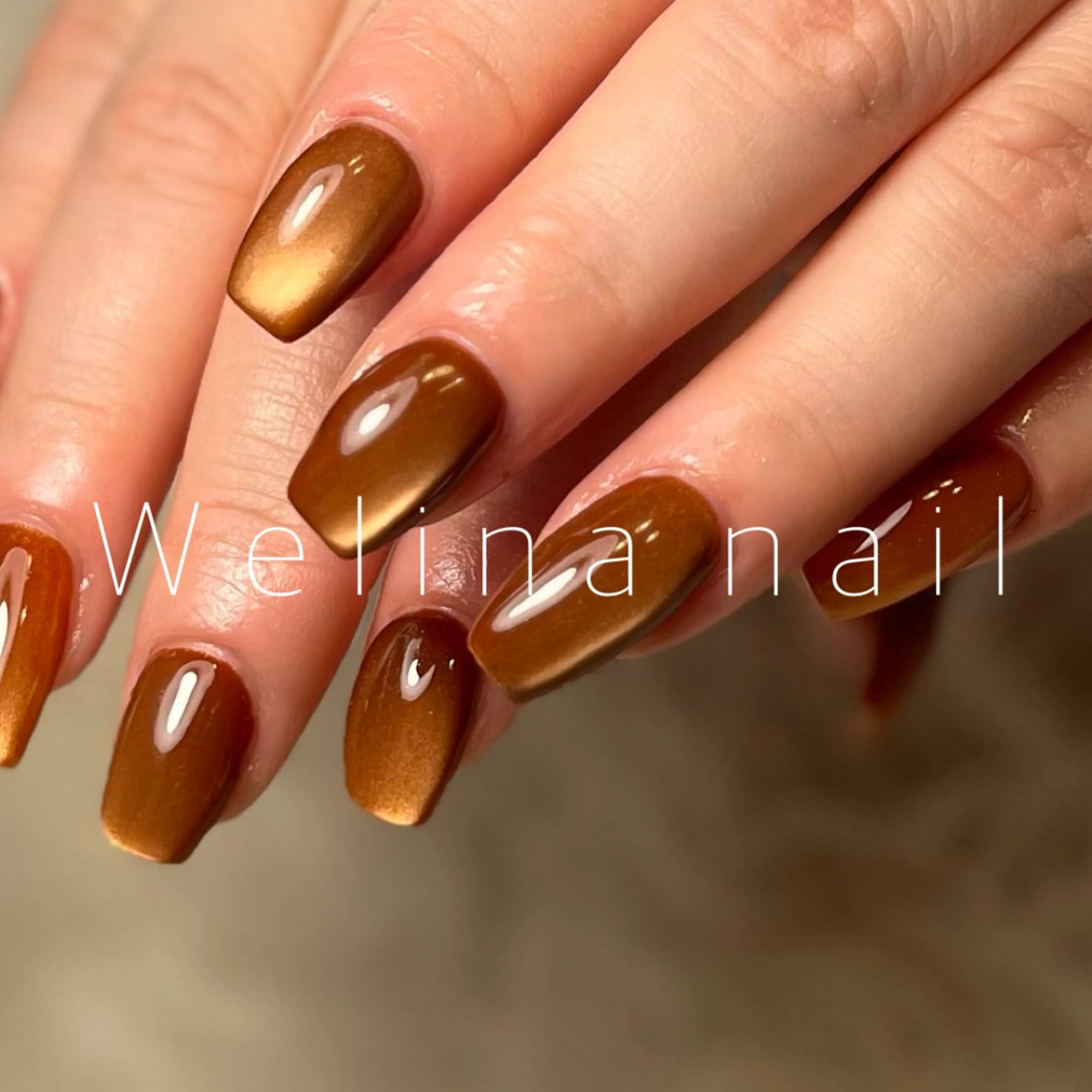 ジェル◎ワンカラー  magnet/Flash込の写真