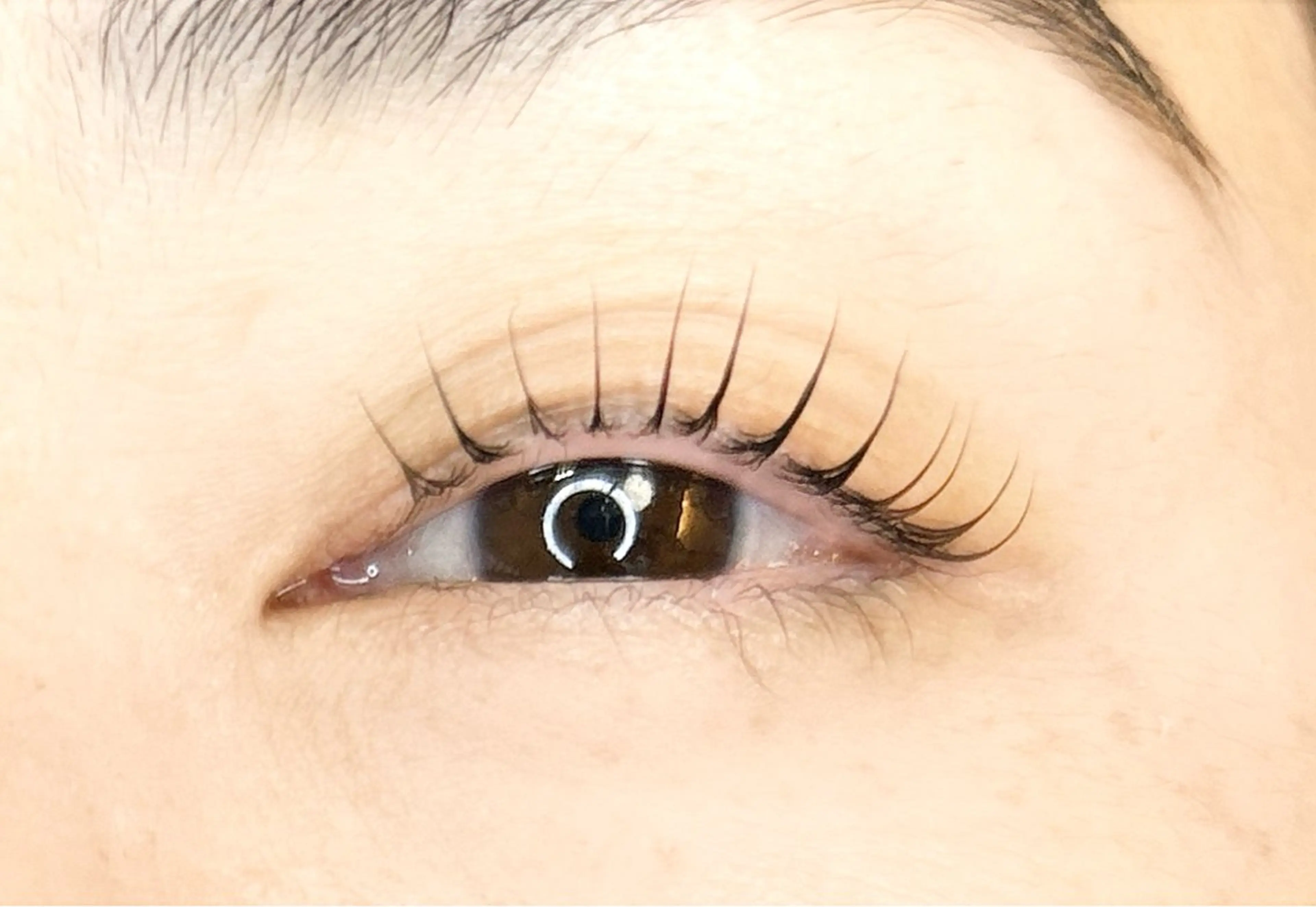 マツエク・マツパ Eyelash Lily🤍花塚のマツエク・マツパデザイン