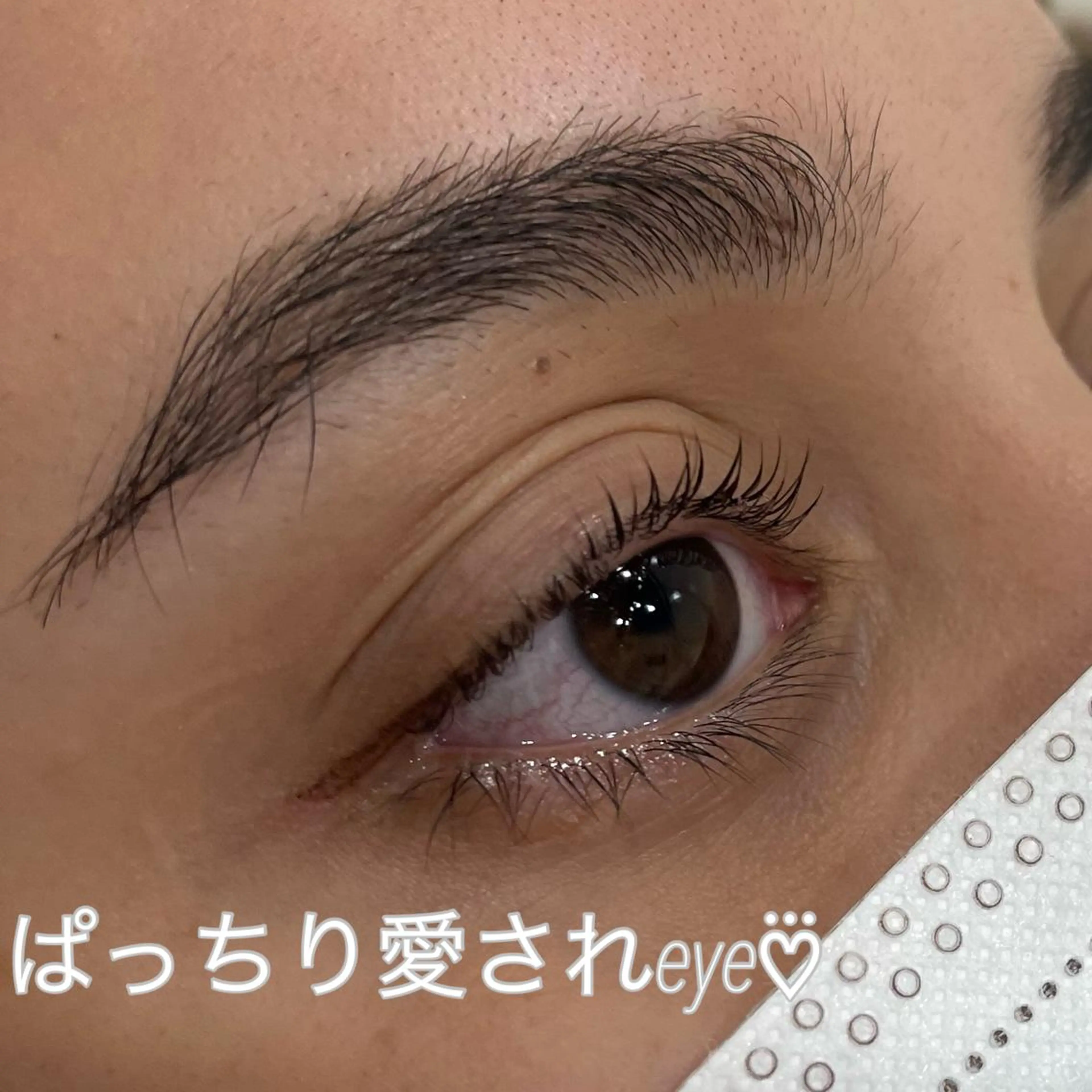 マツエク・マツパ 一重×まつ毛パーマ 超透明感カラー🦋韓 国羽エクステ🪽🫧のマツエク・マツパデザイン