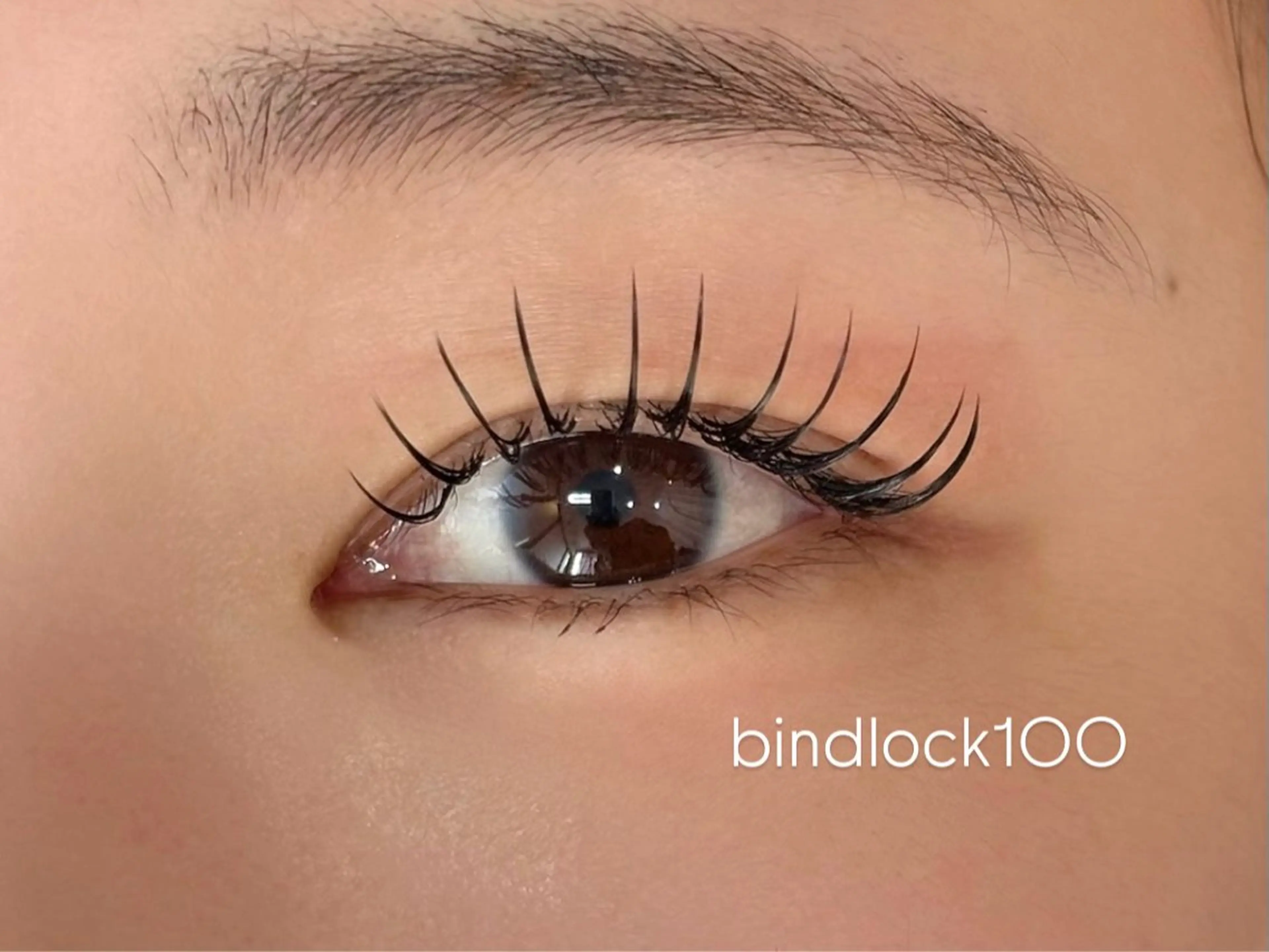 バインドロック120束オフなしの写真